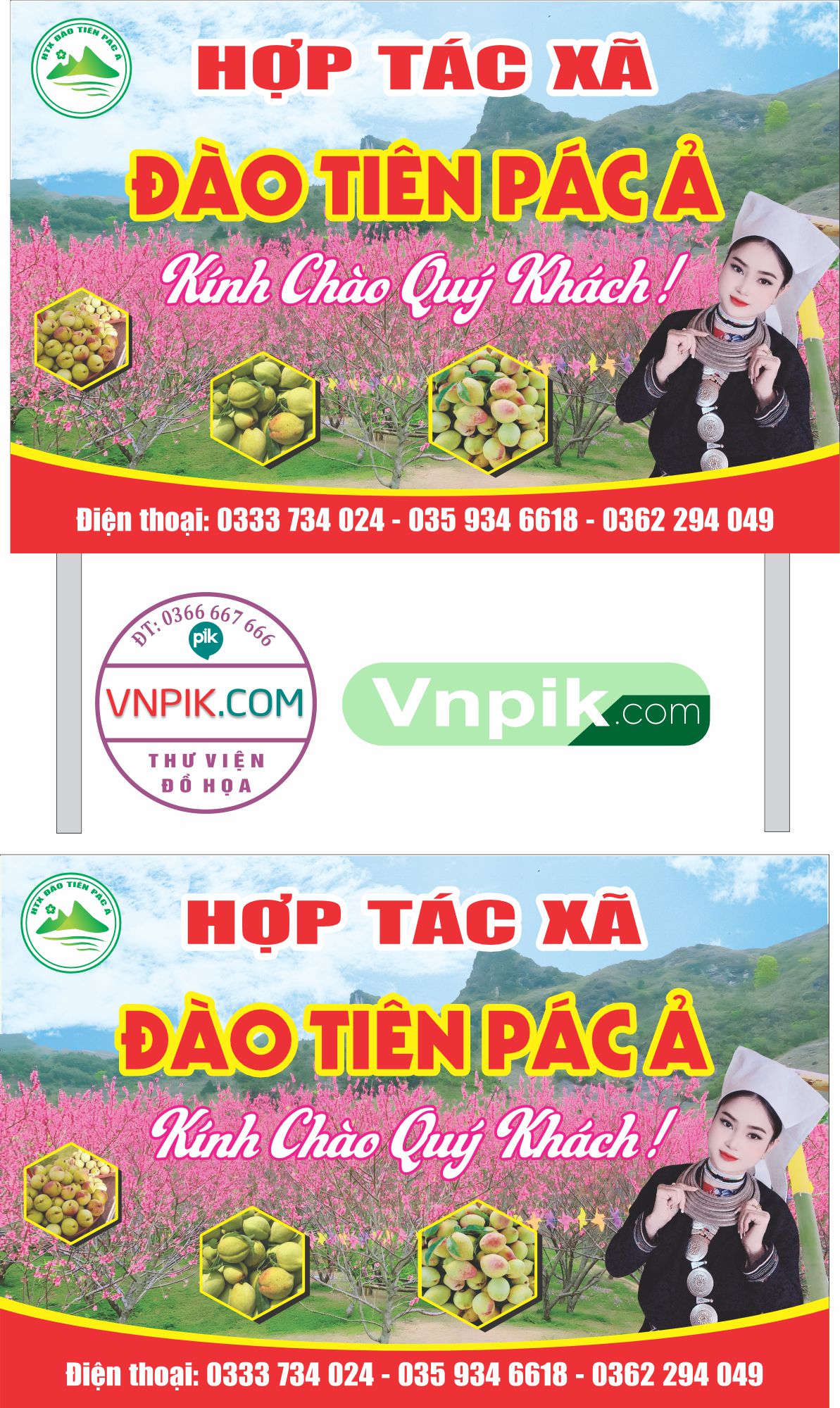 biển pano hợp tác xã đào tiên pác ả