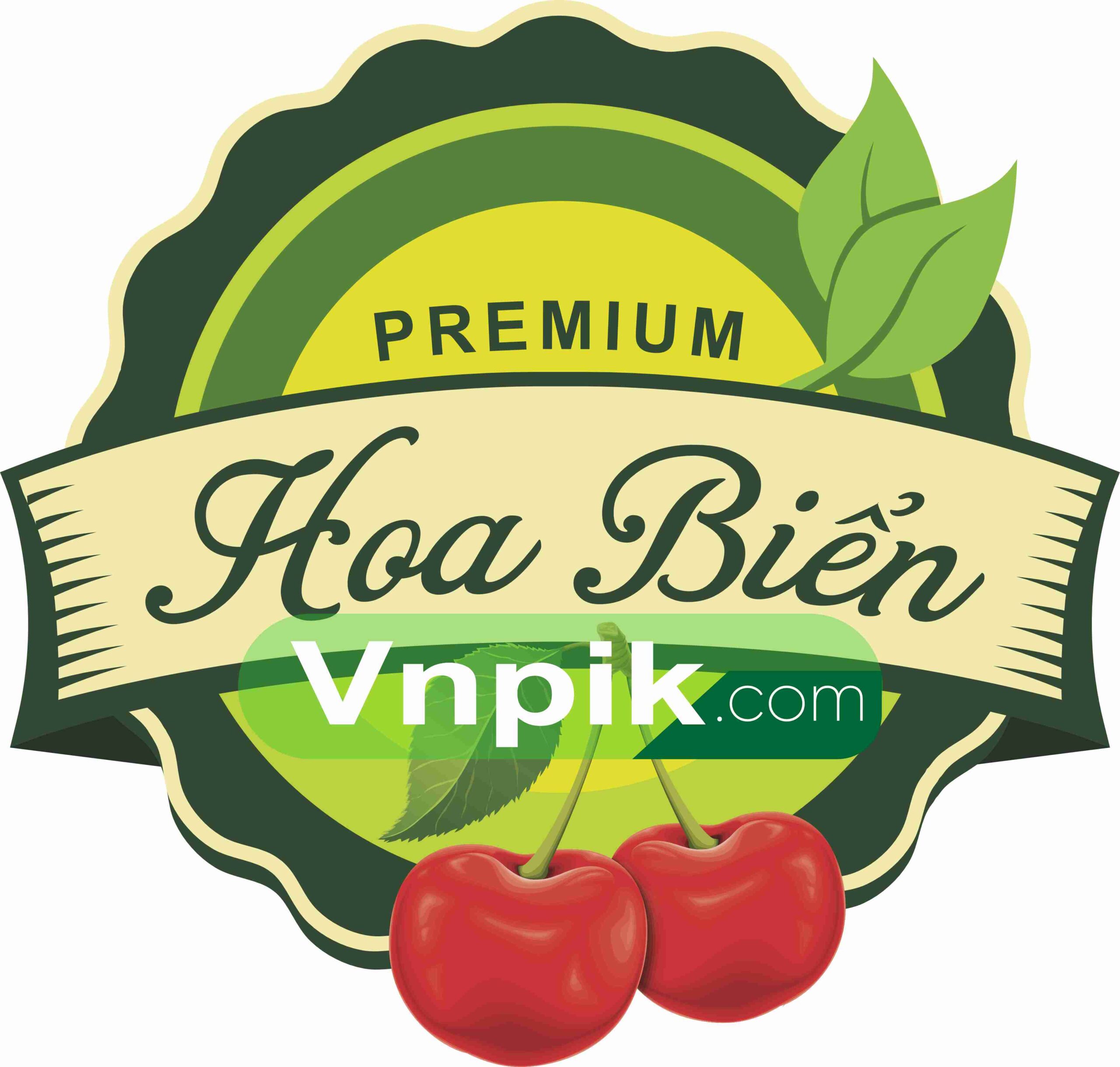 Logo hoa biển