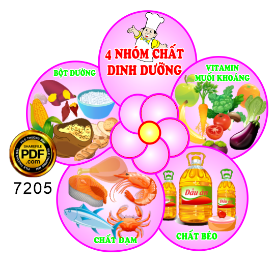 Bông hoa 4 nhóm chất dinh dưỡng file corel