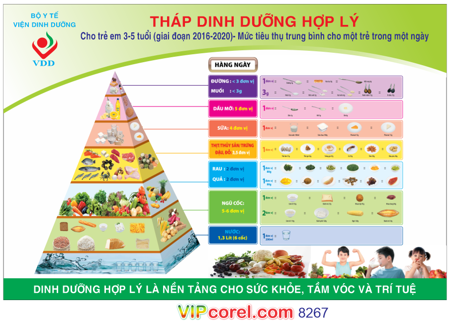 Mẫu tháp dinh dưỡng hợp lý cho trẻ 3-5 tuổi file corel