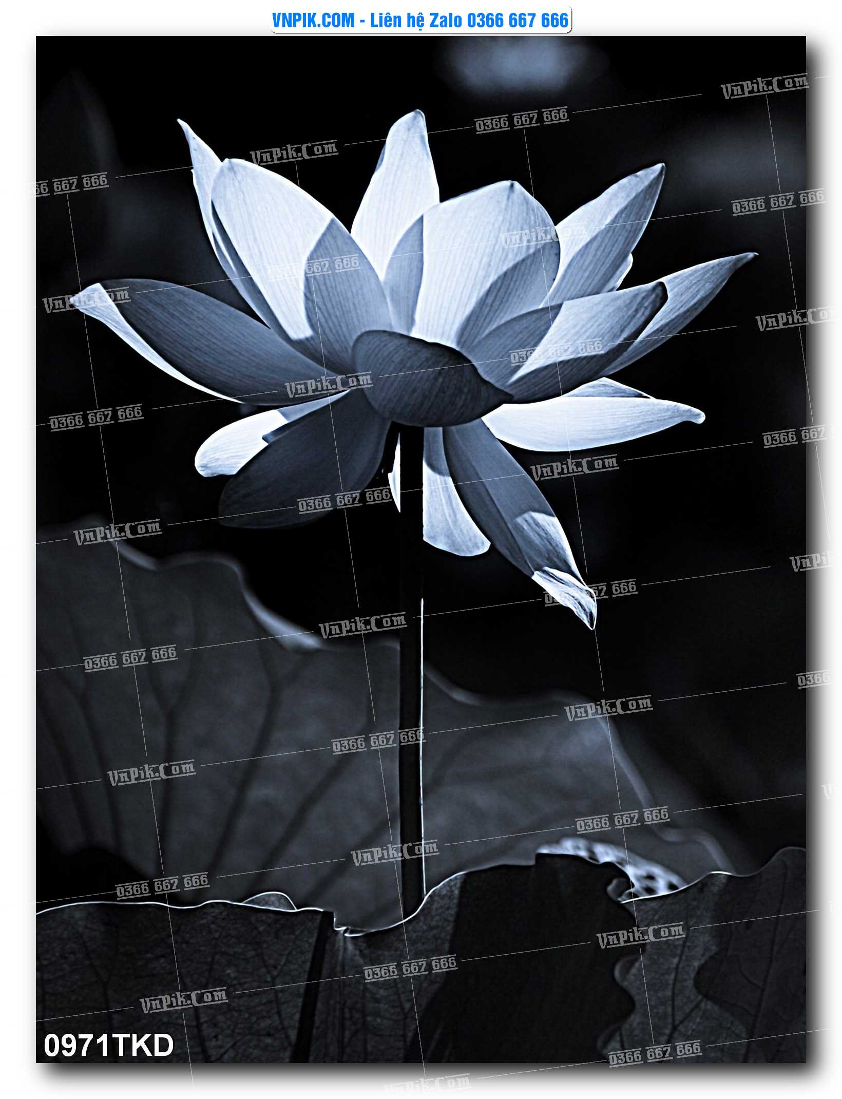 Tranh Khổ Dọc – Tranh Thác Nước – Tranh Phong Cảnh Đẹp – Tranh Treo Tường – Mã file 0971TKD