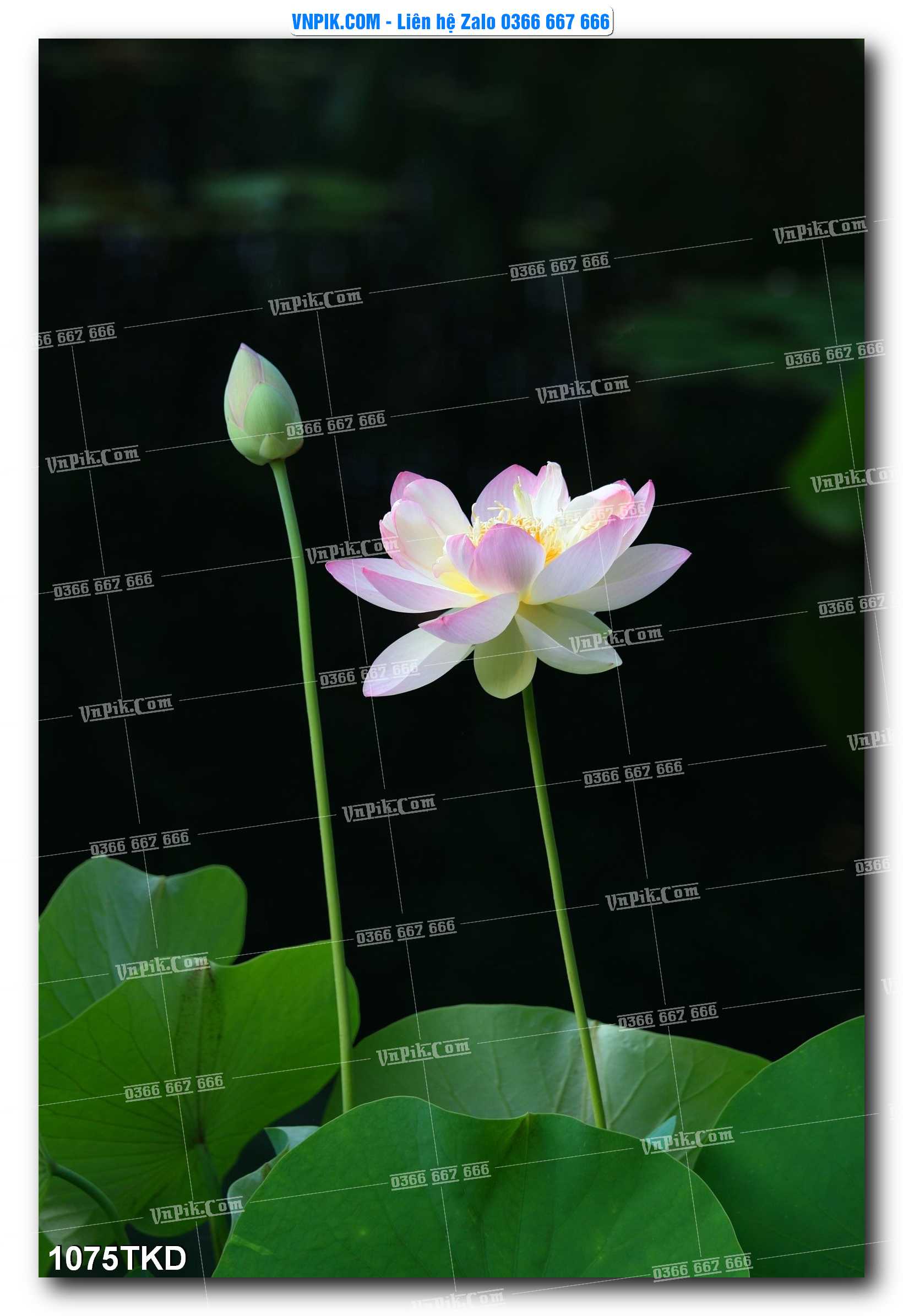 Tranh Khổ Dọc – Tranh Thác Nước – Tranh Phong Cảnh Đẹp – Tranh Treo Tường – Mã file 1075TKD