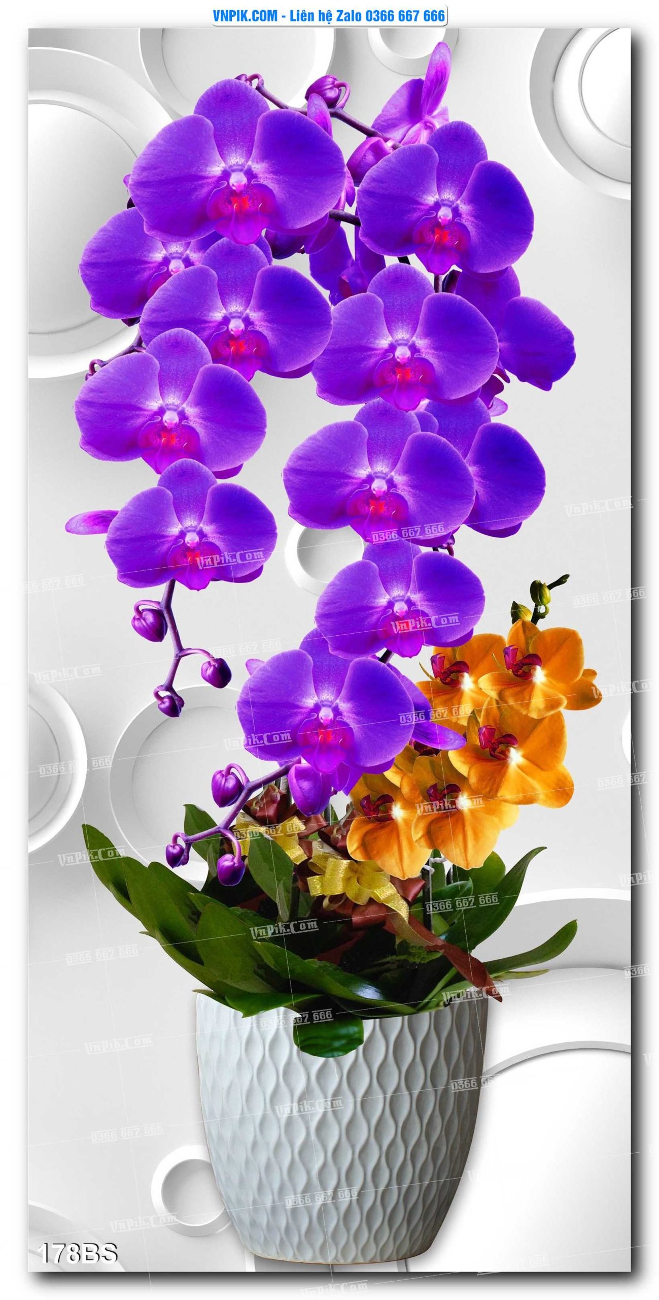 File PSD Tranh Bon Sai Cây Cảnh Trang Trí Siêu Đẹp Mã File 178BS
