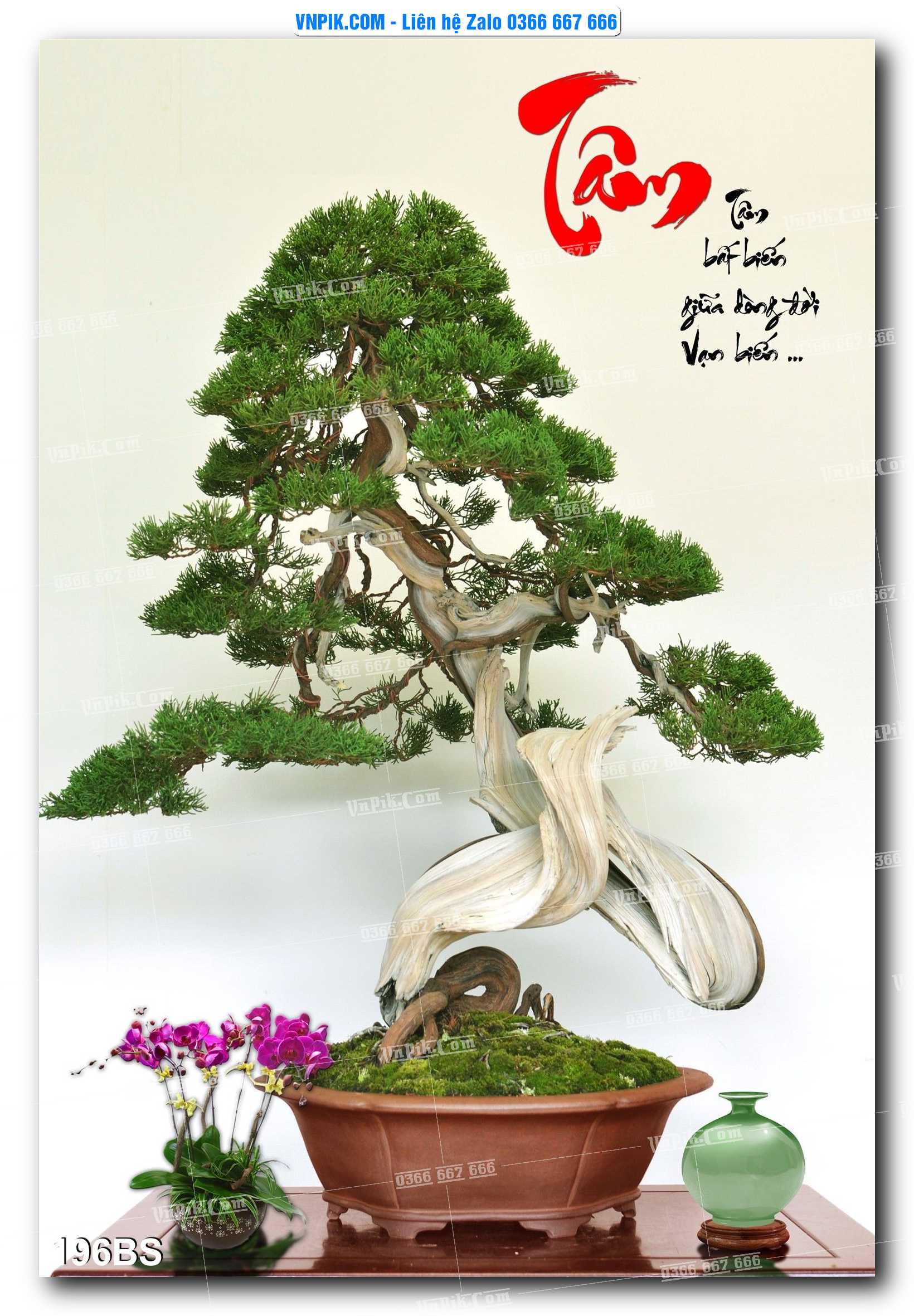 File PSD Tranh Bon Sai Cây Cảnh Trang Trí Siêu Đẹp Mã File 196BS