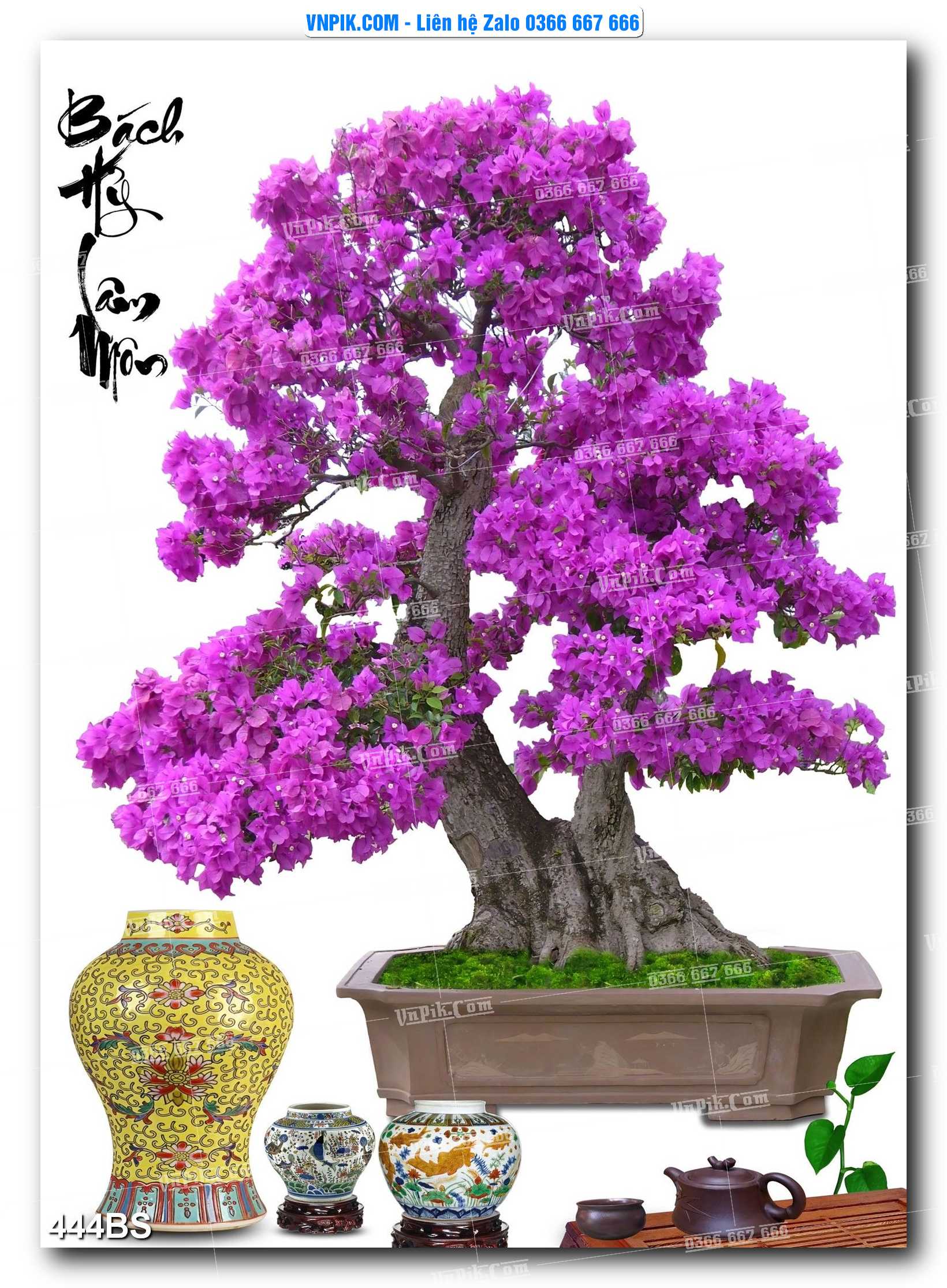 File PSD Tranh Bon Sai Cây Cảnh Trang Trí Siêu Đẹp Mã File 444BS