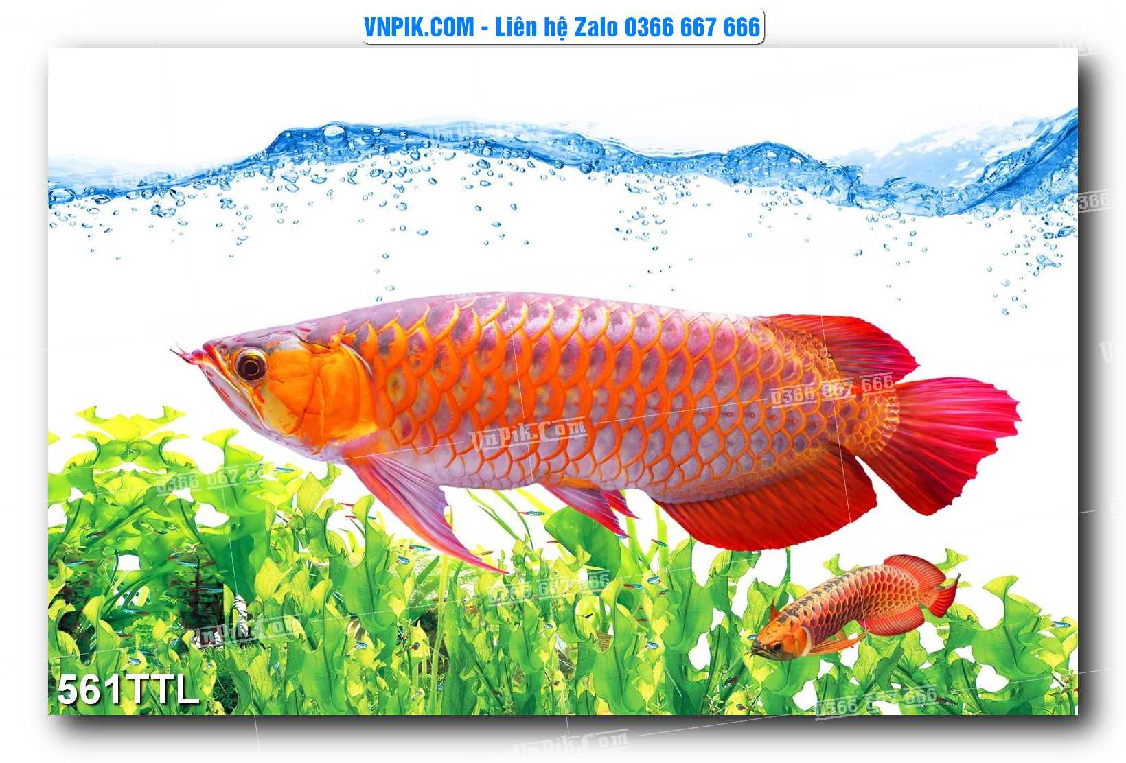 File PSD Vector Tranh Tài Lộc Mẫu Số 561TTL