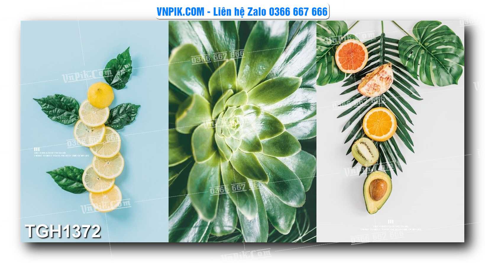 Tranh Ghép Treo Tường Mã File TGH1372
