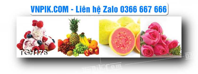 Tranh Ghép Treo Tường Mã File TGH176