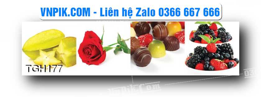 Tranh Ghép Treo Tường Mã File TGH177