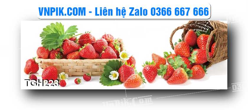 Tranh Ghép Treo Tường Mã File TGH223