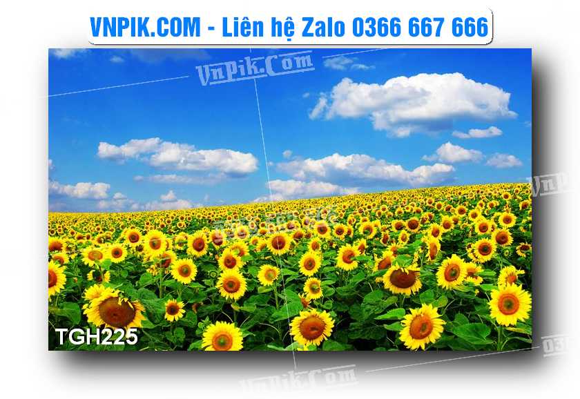 Tranh Ghép Treo Tường Mã File TGH225