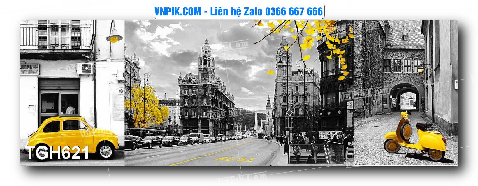 Tranh Ghép Treo Tường Mã File TGH621