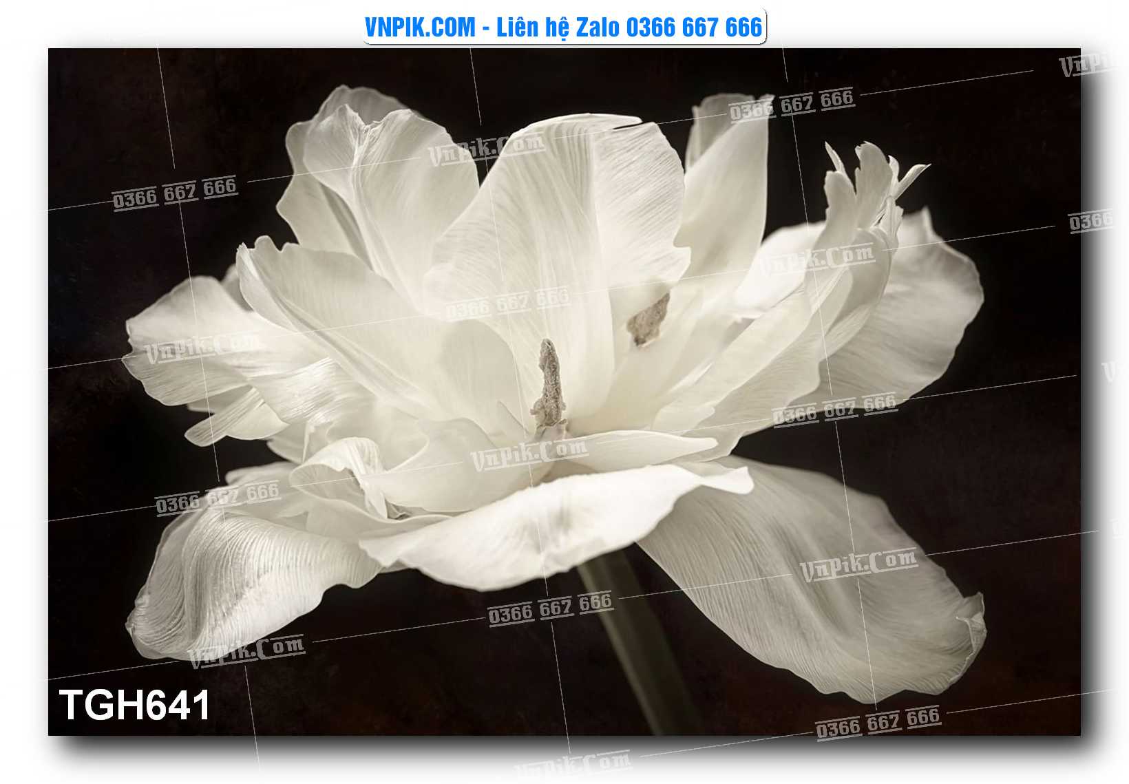Tranh Ghép Treo Tường Mã File TGH641