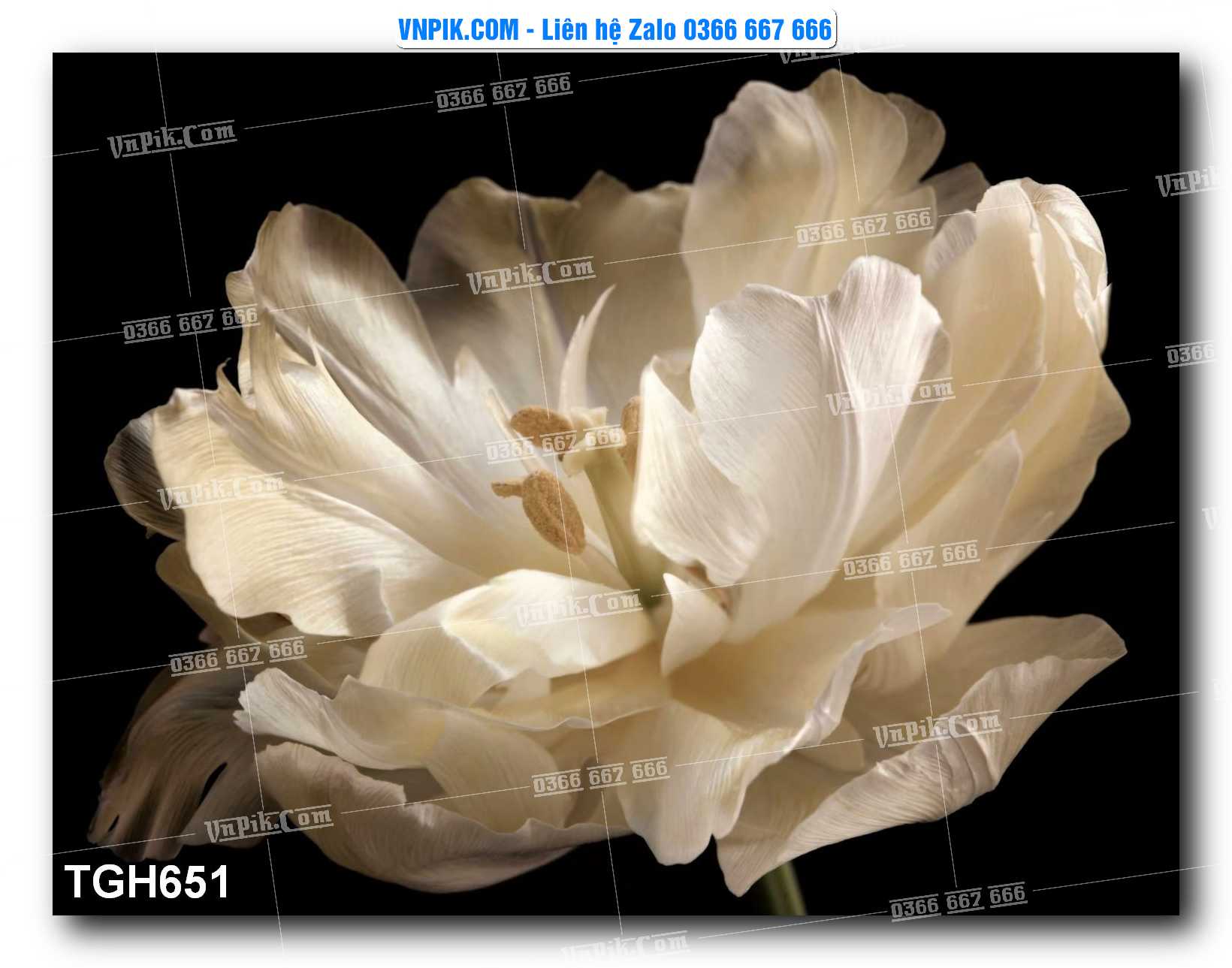Tranh Ghép Treo Tường Mã File TGH651