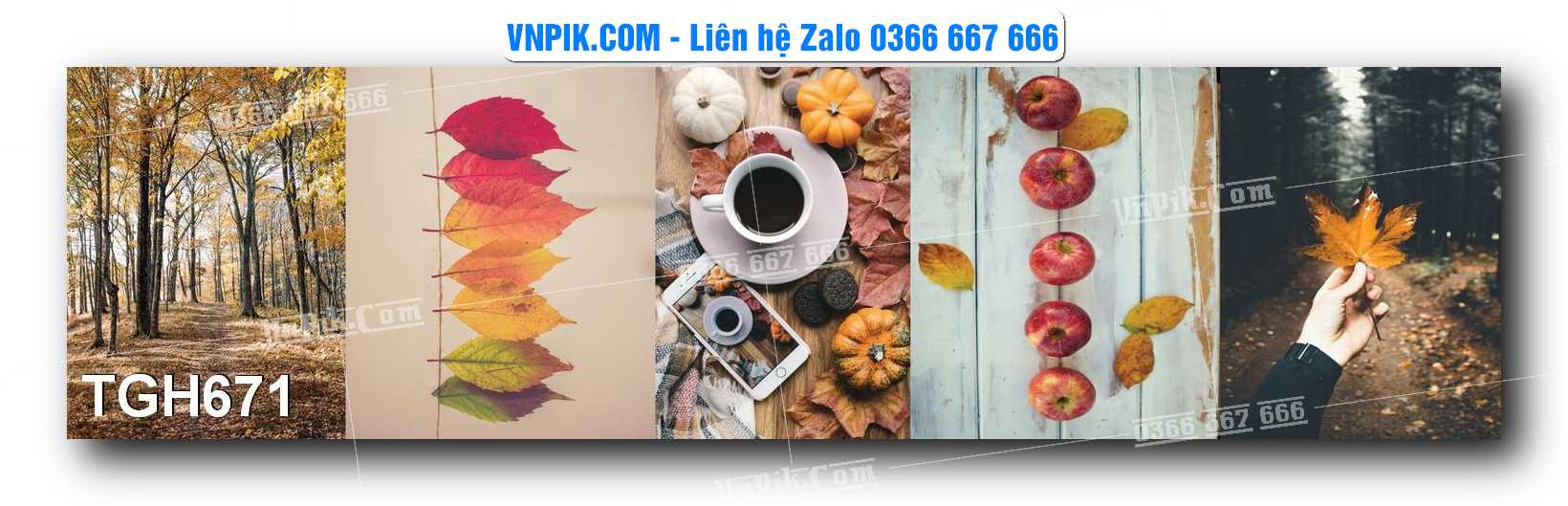 Tranh Ghép Treo Tường Mã File TGH671