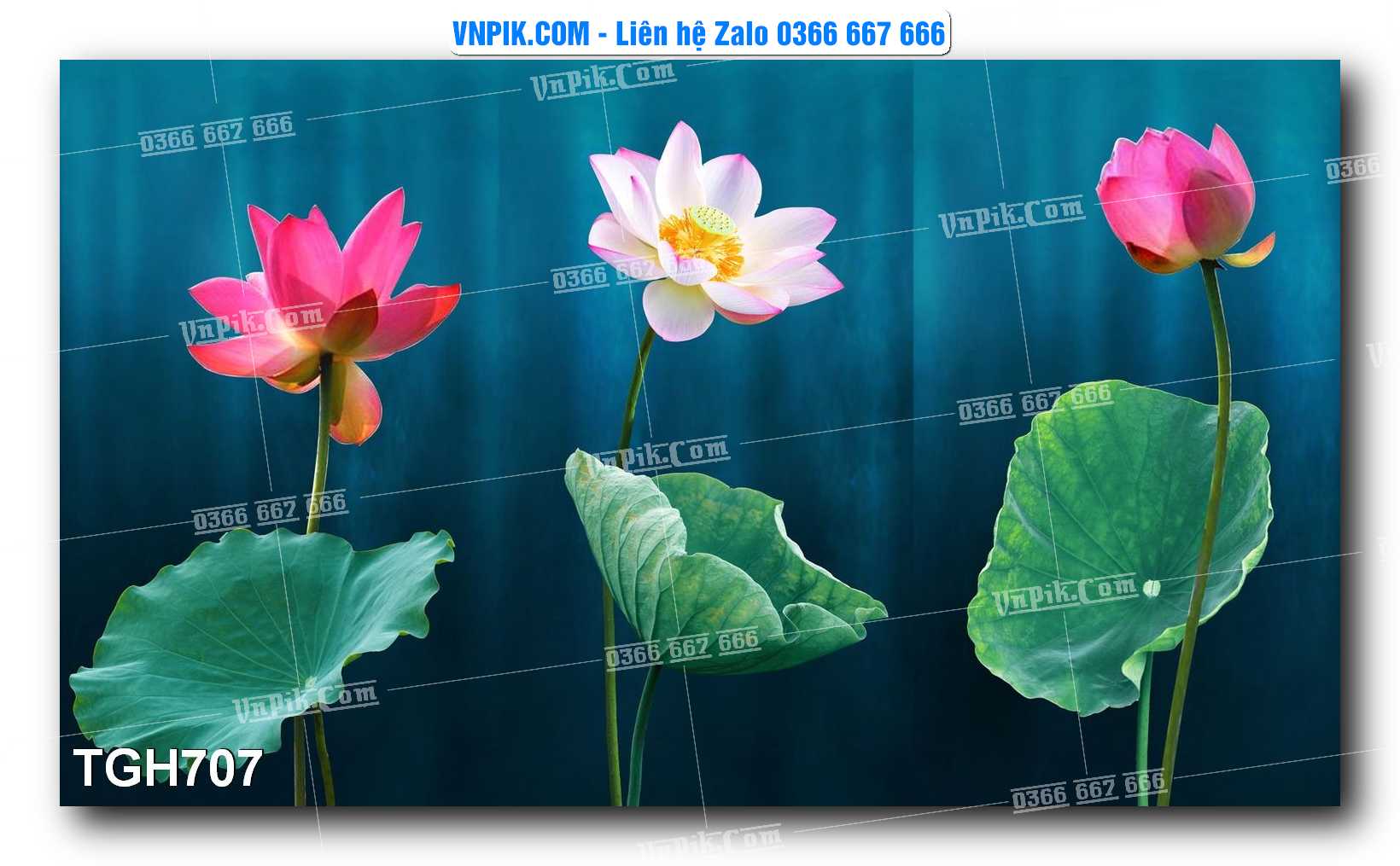 Tranh Ghép Treo Tường Mã File TGH707