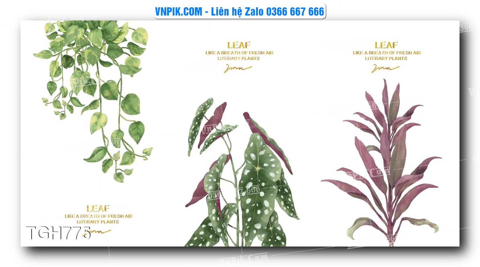 Tranh Ghép Treo Tường Mã File TGH775