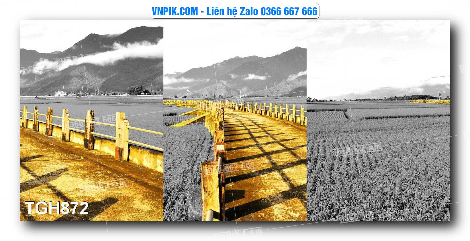 Tranh Ghép Treo Tường Mã File TGH872