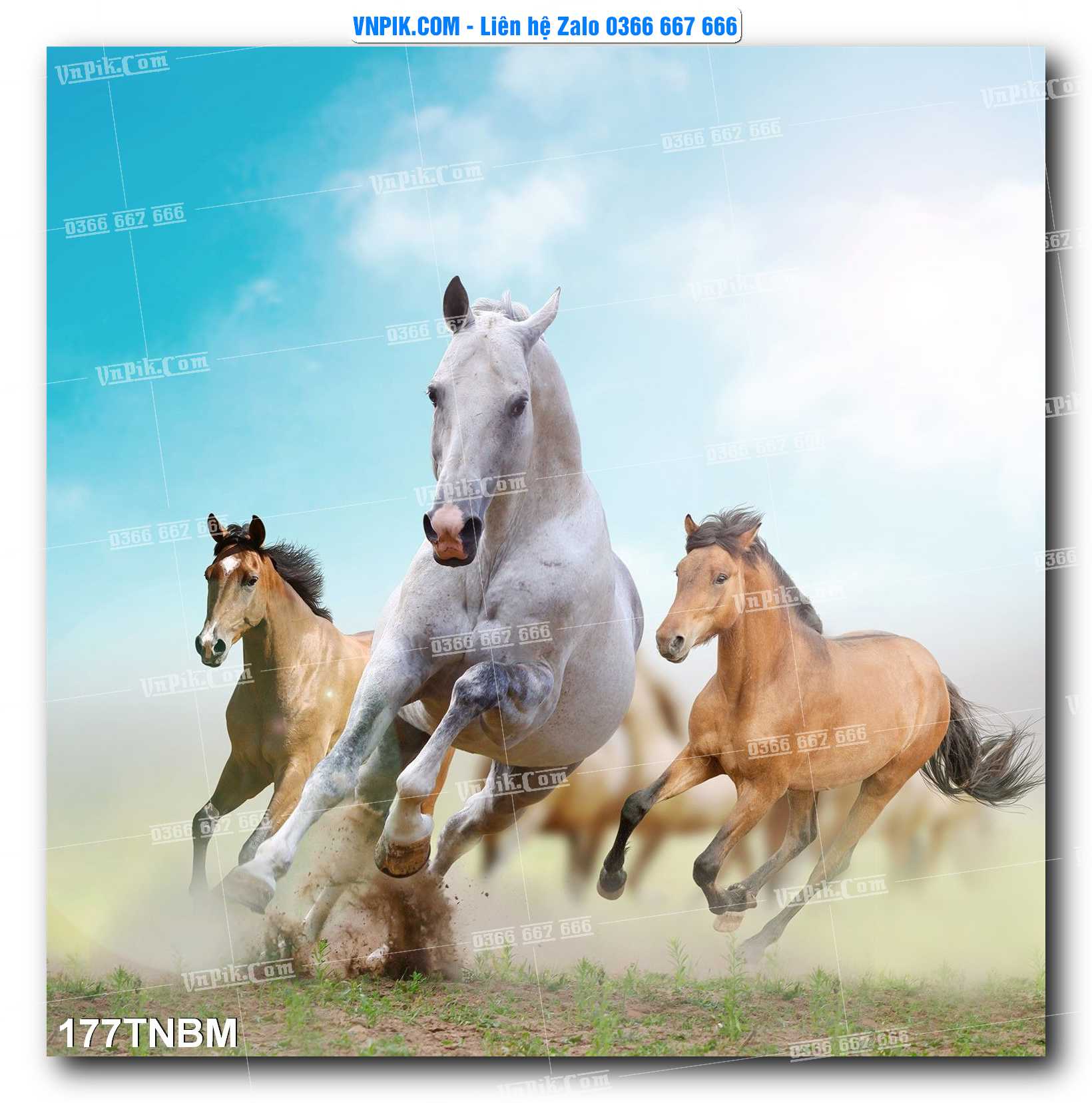 Tranh Ngựa Bát Mã – Mã Đáo Thành Công Mã File 177TNBM