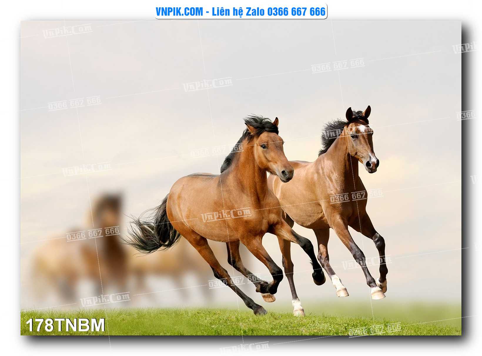 Tranh Ngựa Bát Mã – Mã Đáo Thành Công Mã File 178TNBM