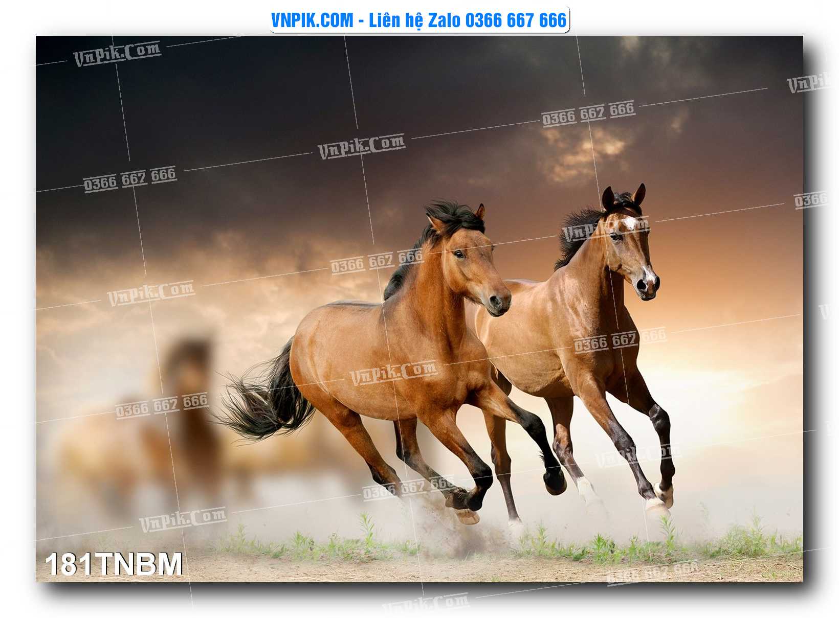Tranh Ngựa Bát Mã – Mã Đáo Thành Công Mã File 181TNBM