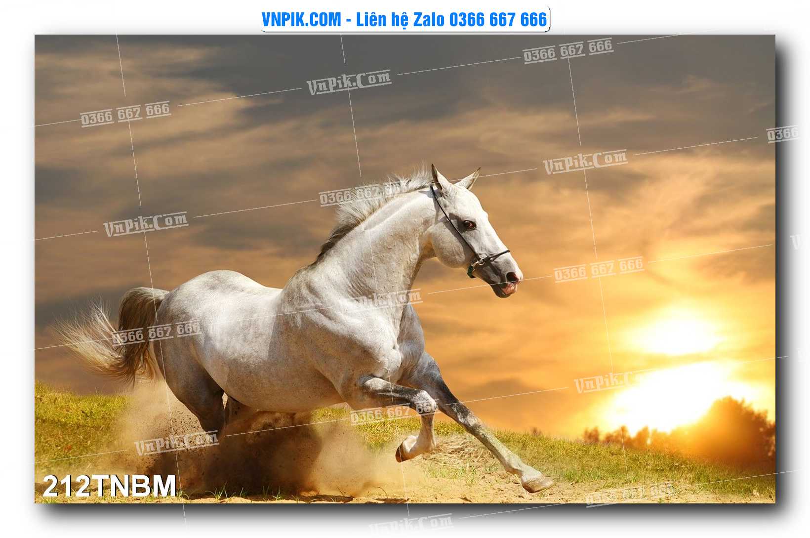 Tranh Ngựa Bát Mã – Mã Đáo Thành Công Mã File 212TNBM
