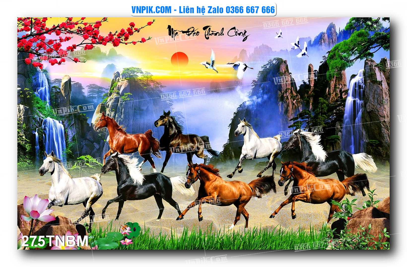 Tranh Ngựa Bát Mã – Mã Đáo Thành Công Mã File 275TNBM