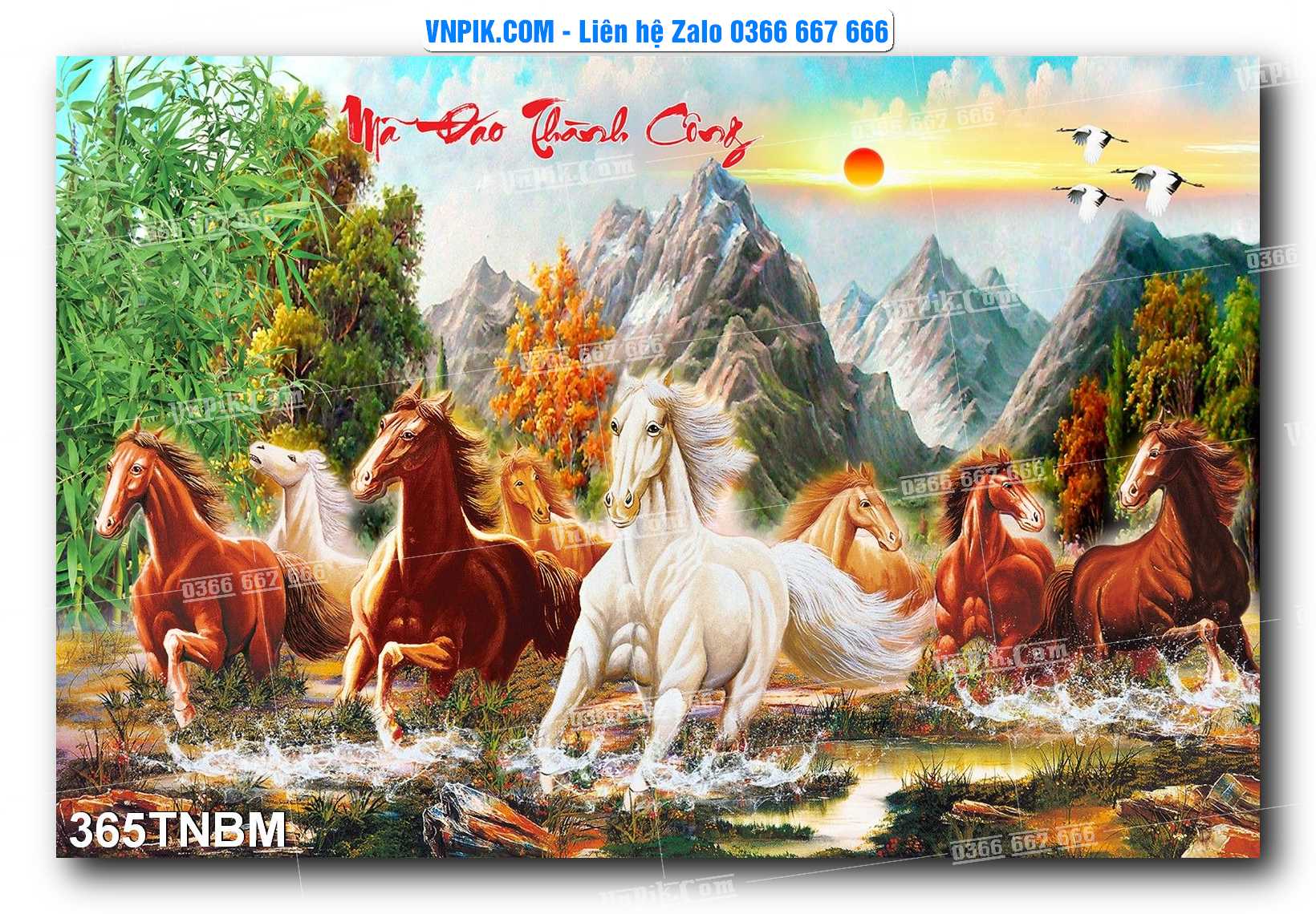 Tranh Ngựa Bát Mã – Mã Đáo Thành Công Mã File 365TNBM