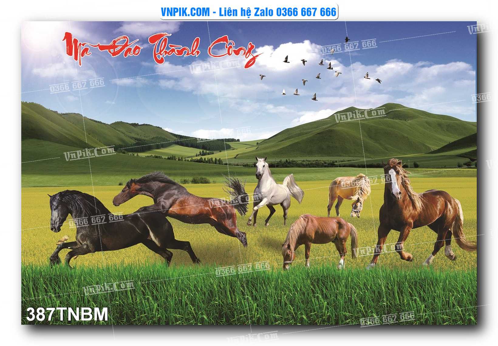 Tranh Ngựa Bát Mã – Mã Đáo Thành Công Mã File 387TNBM