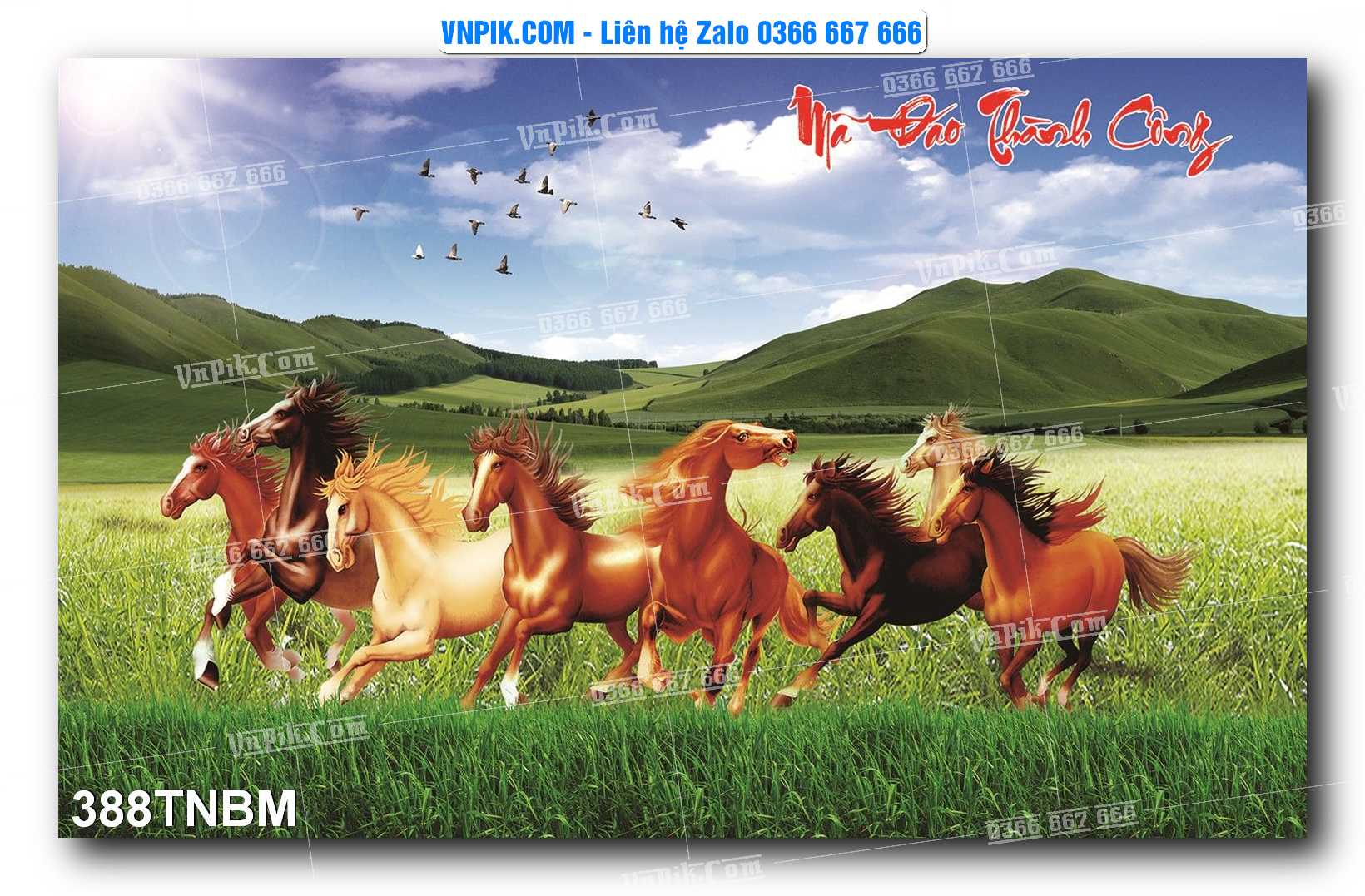 Tranh Ngựa Bát Mã – Mã Đáo Thành Công Mã File 388TNBM