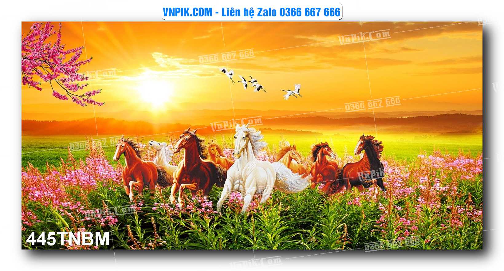 Tranh Ngựa Bát Mã – Mã Đáo Thành Công Mã File 445TNBM