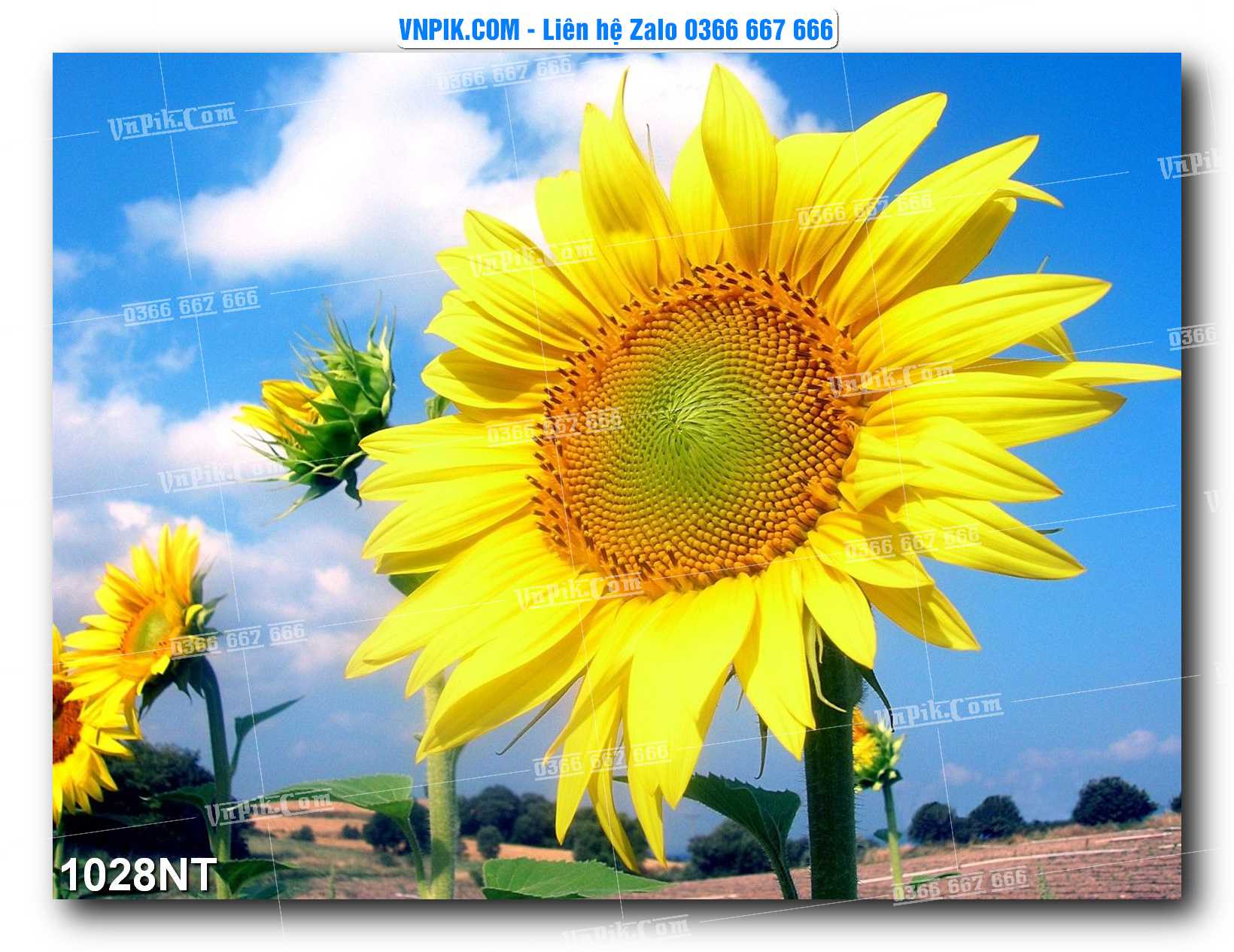 Tranh Trang Trí Phong Cảnh Nghệ Thuật Mã Số 1028NT