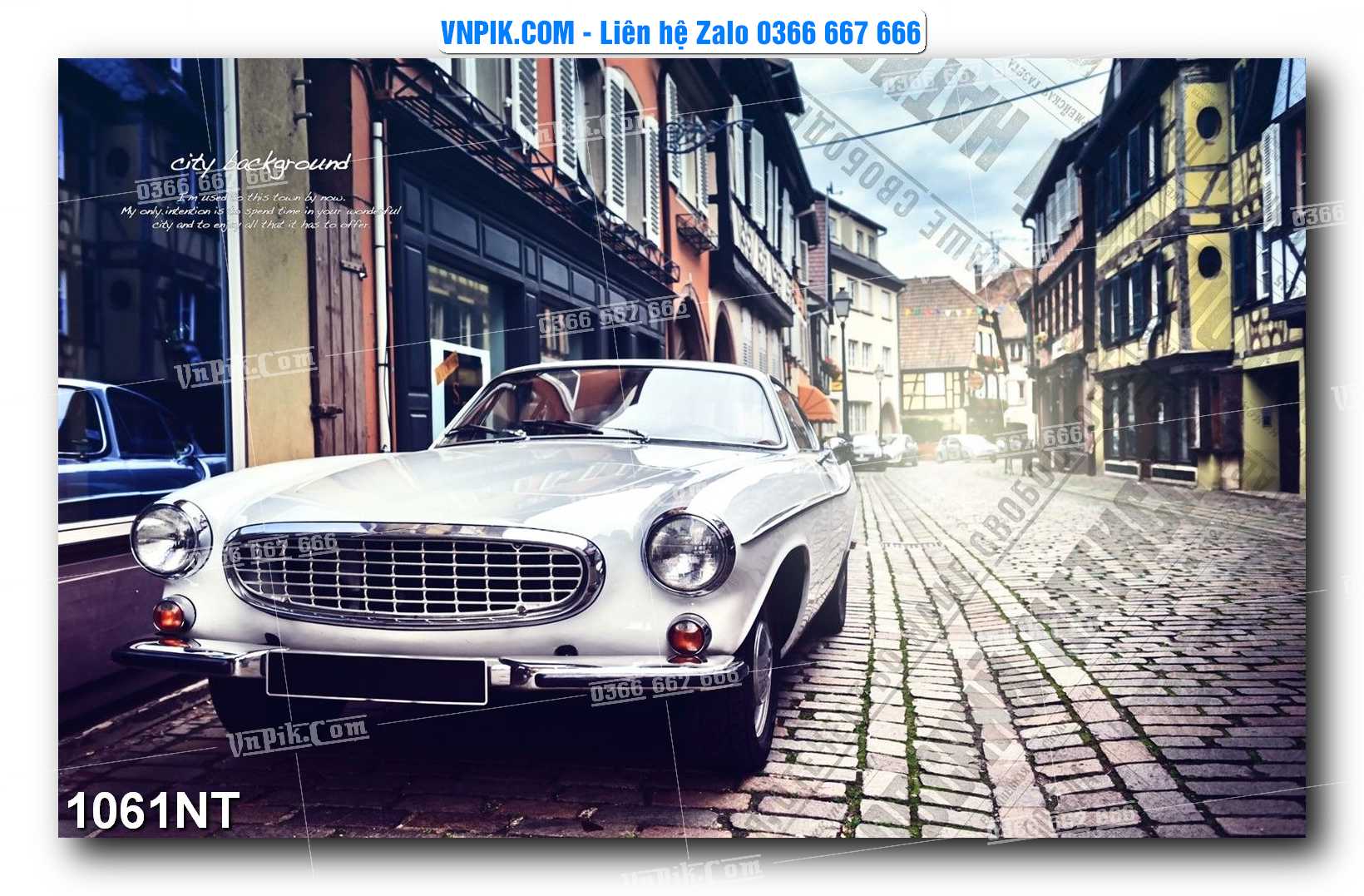 Tranh Trang Trí Phong Cảnh Nghệ Thuật Mã Số 1061NT