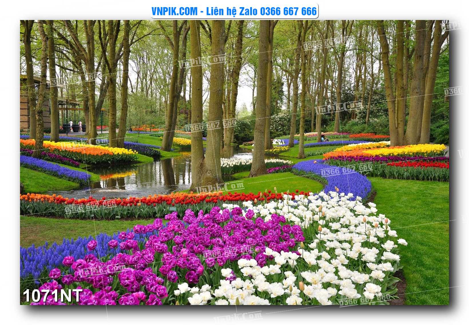 Tranh Trang Trí Phong Cảnh Nghệ Thuật Mã Số 1071NT