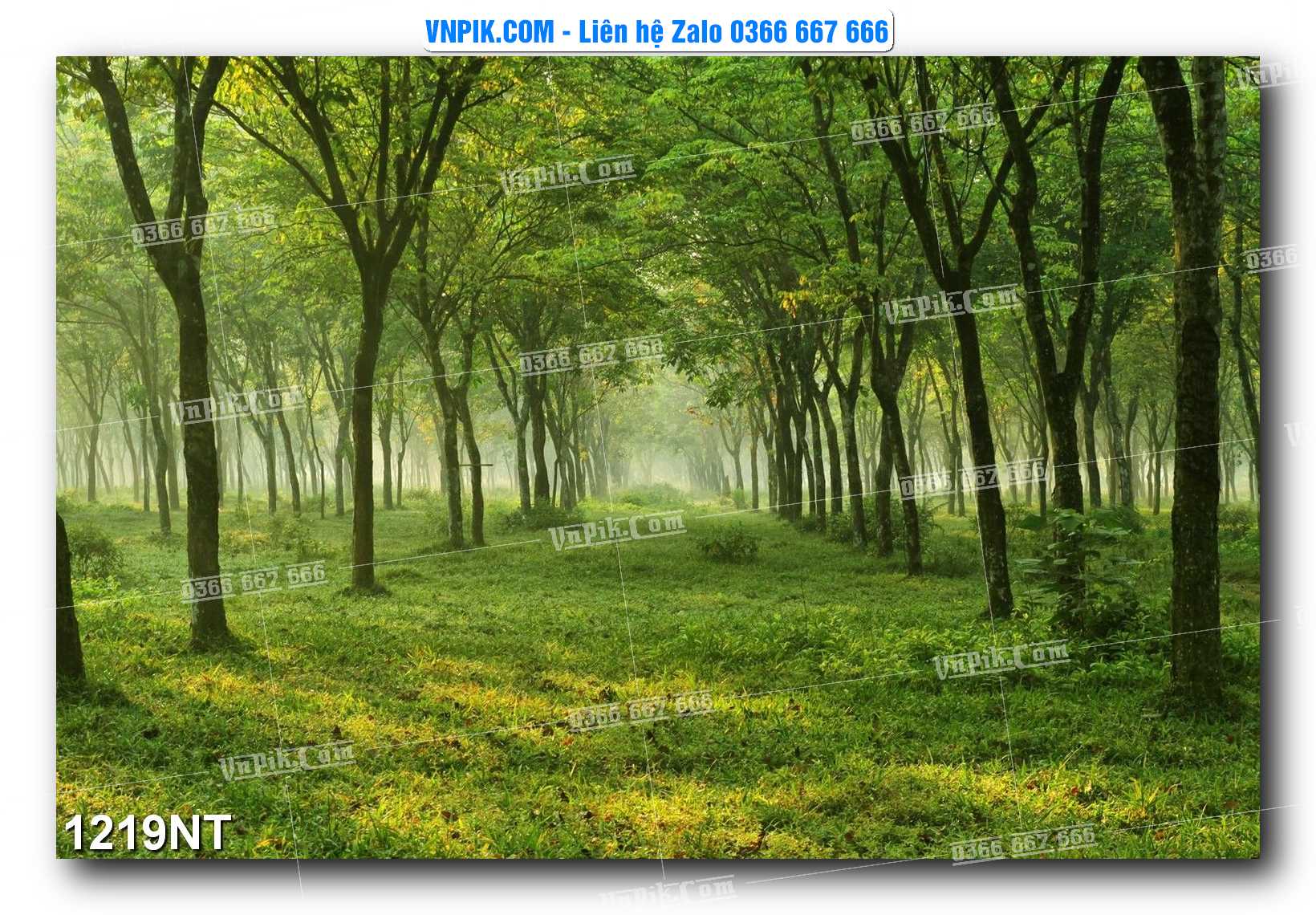 Tranh Trang Trí Phong Cảnh Nghệ Thuật Mã Số 1219NT