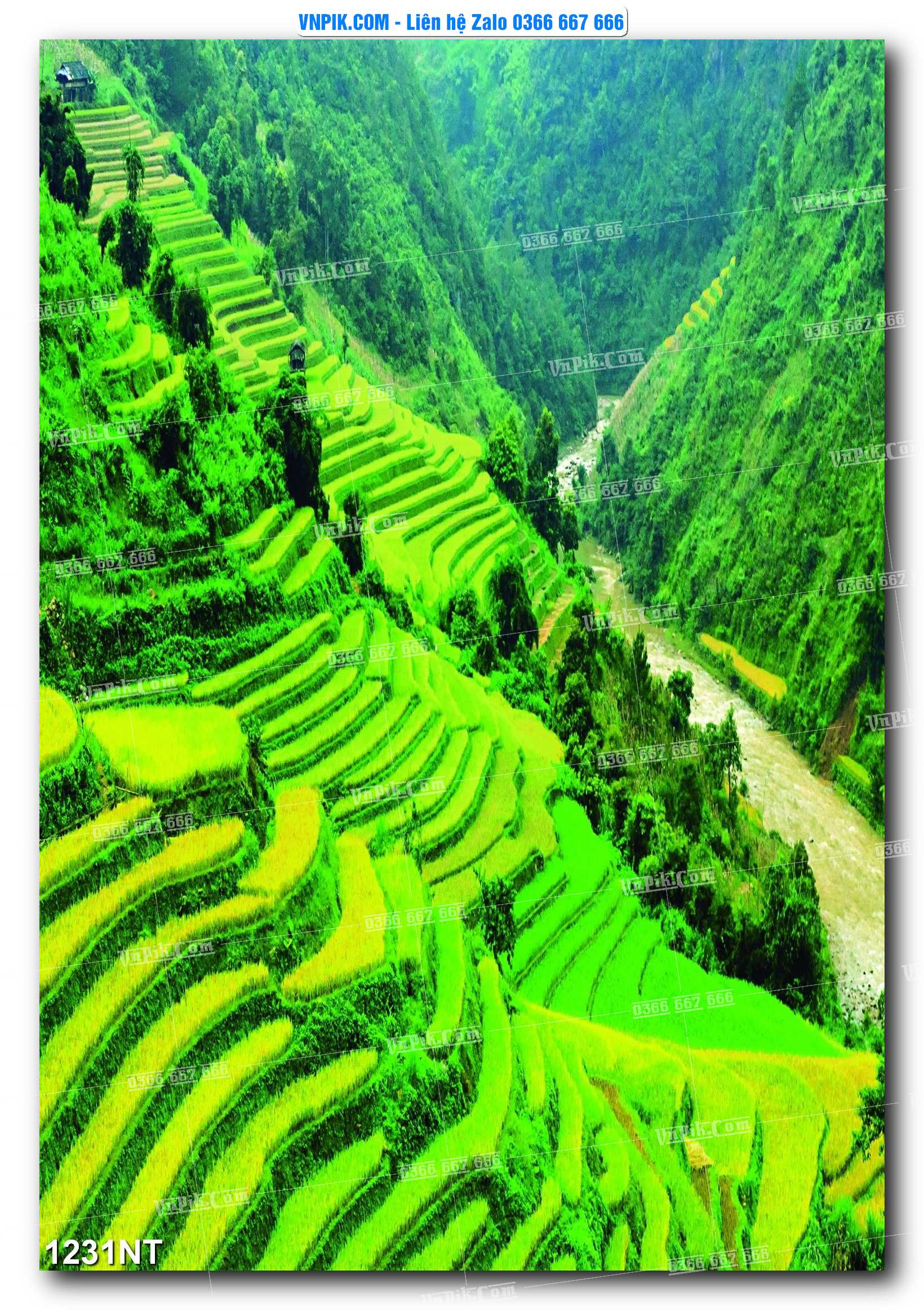 Tranh Trang Trí Phong Cảnh Nghệ Thuật Mã Số 1231NT