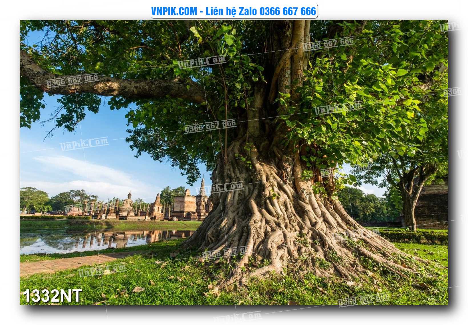 Tranh Trang Trí Phong Cảnh Nghệ Thuật Mã Số 1332NT