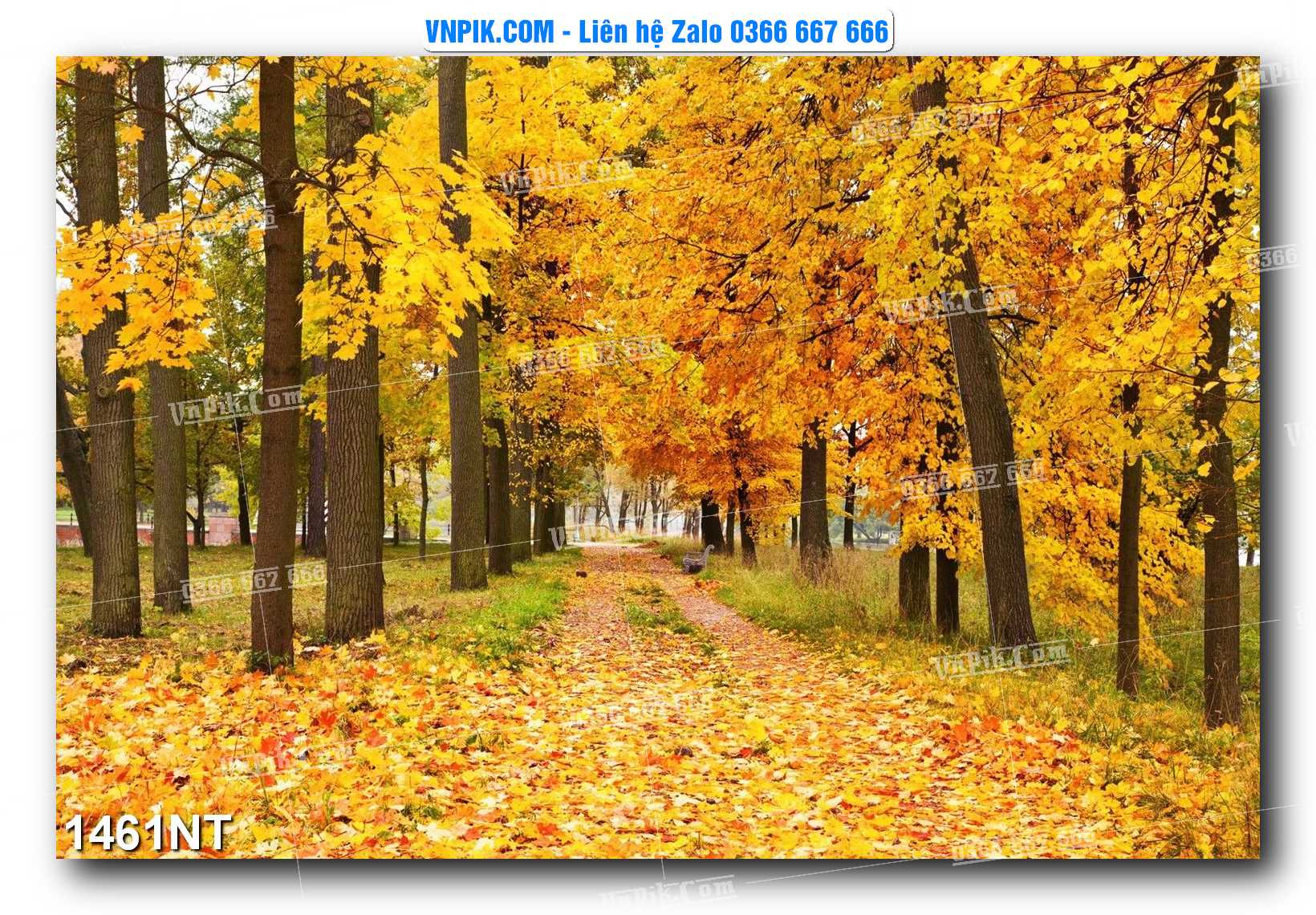 Tranh Trang Trí Phong Cảnh Nghệ Thuật Mã Số 1461NT