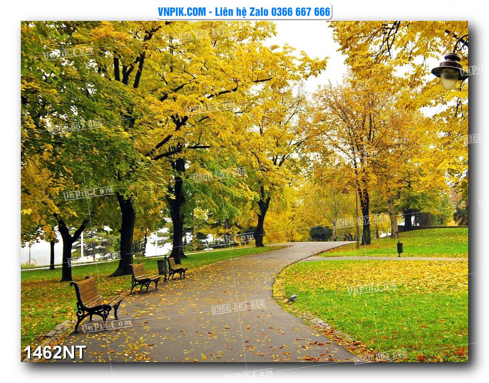 Tranh Trang Trí Phong Cảnh Nghệ Thuật Mã Số 1462NT