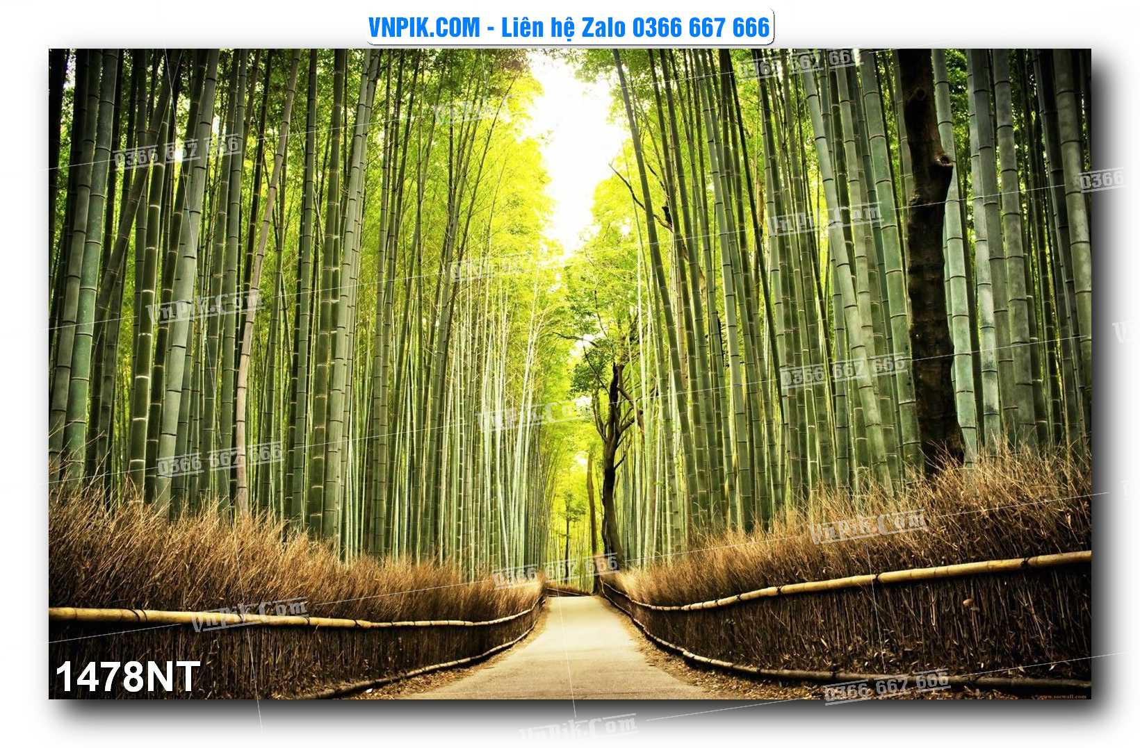 Tranh Trang Trí Phong Cảnh Nghệ Thuật Mã Số 1478NT