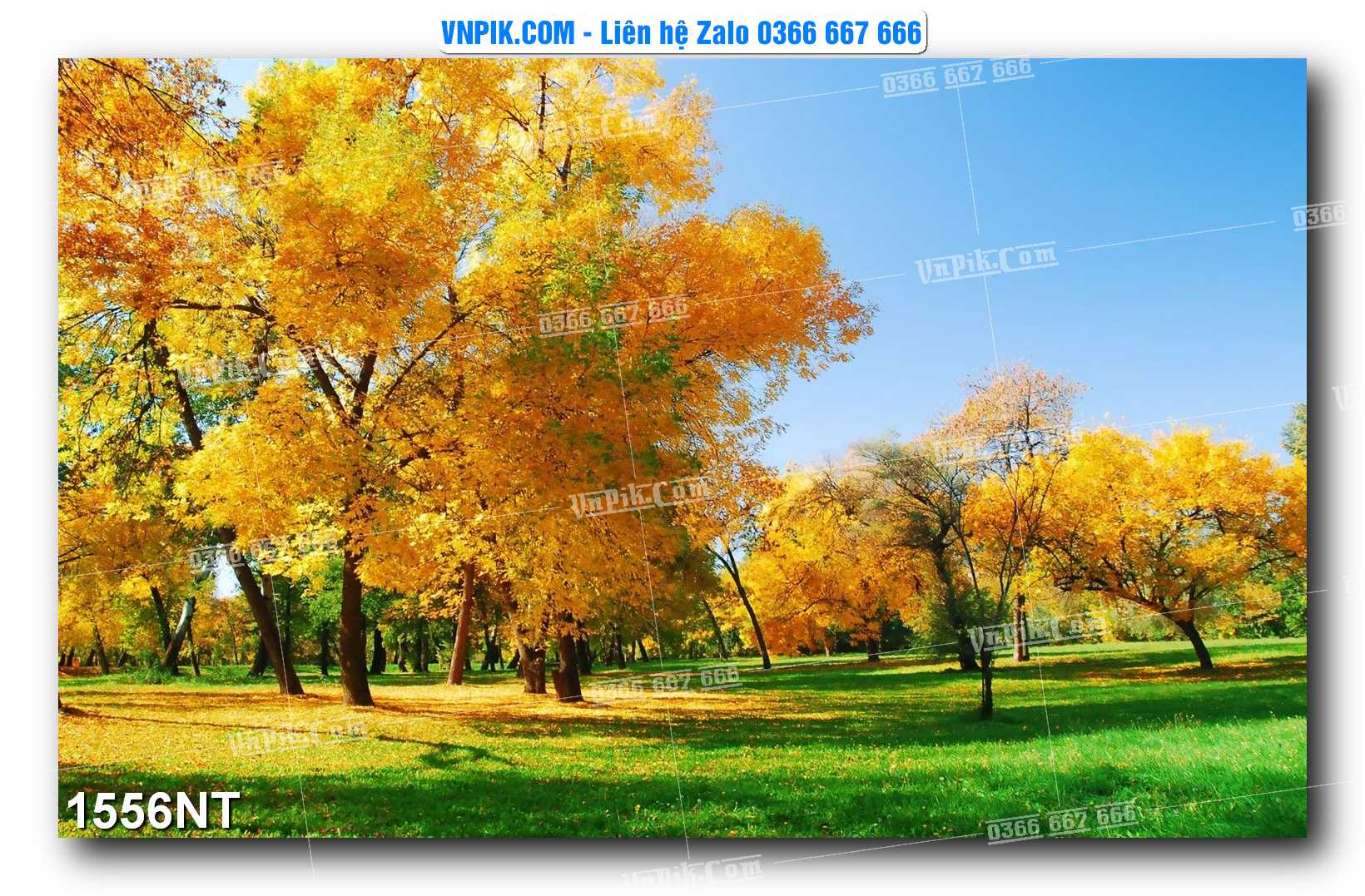 Tranh Trang Trí Phong Cảnh Nghệ Thuật Mã Số 1556NT