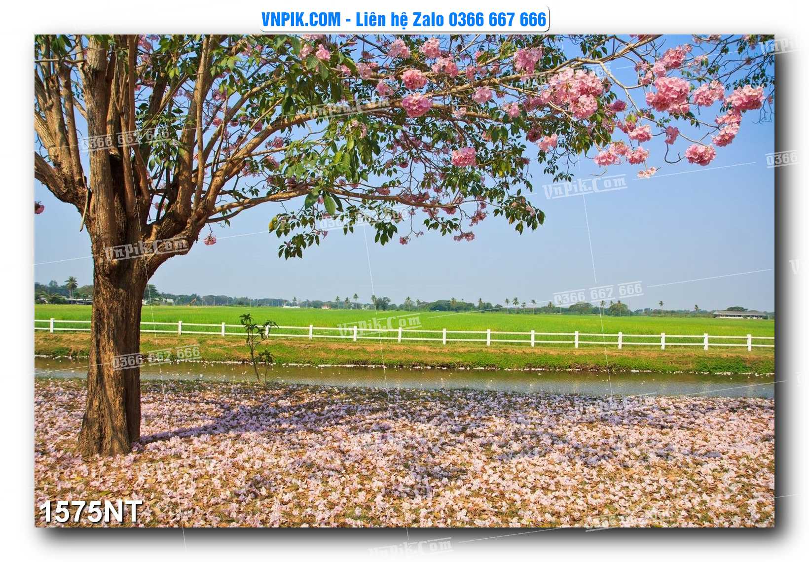Tranh Trang Trí Phong Cảnh Nghệ Thuật Mã Số 1575NT