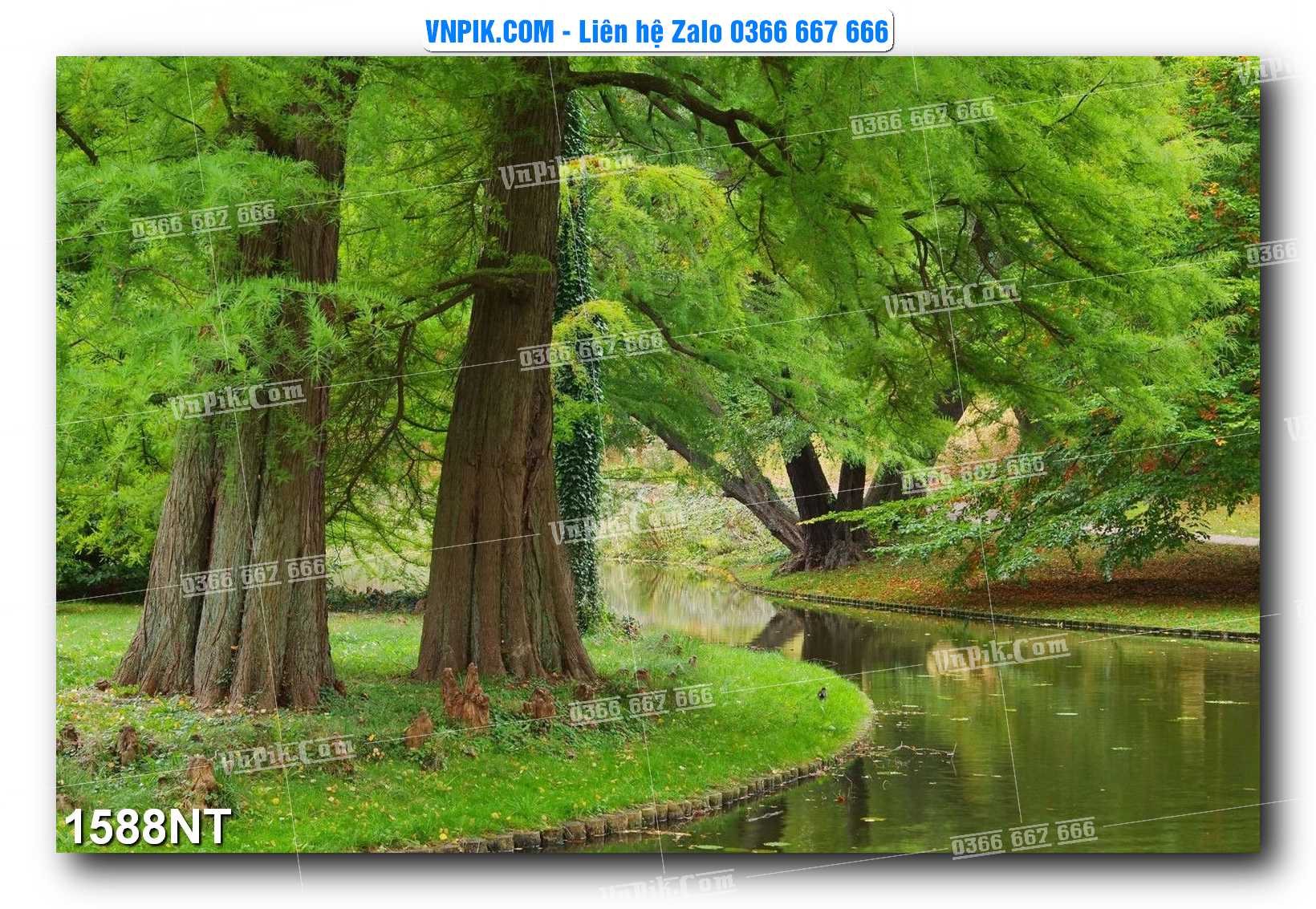 Tranh Trang Trí Phong Cảnh Nghệ Thuật Mã Số 1588NT