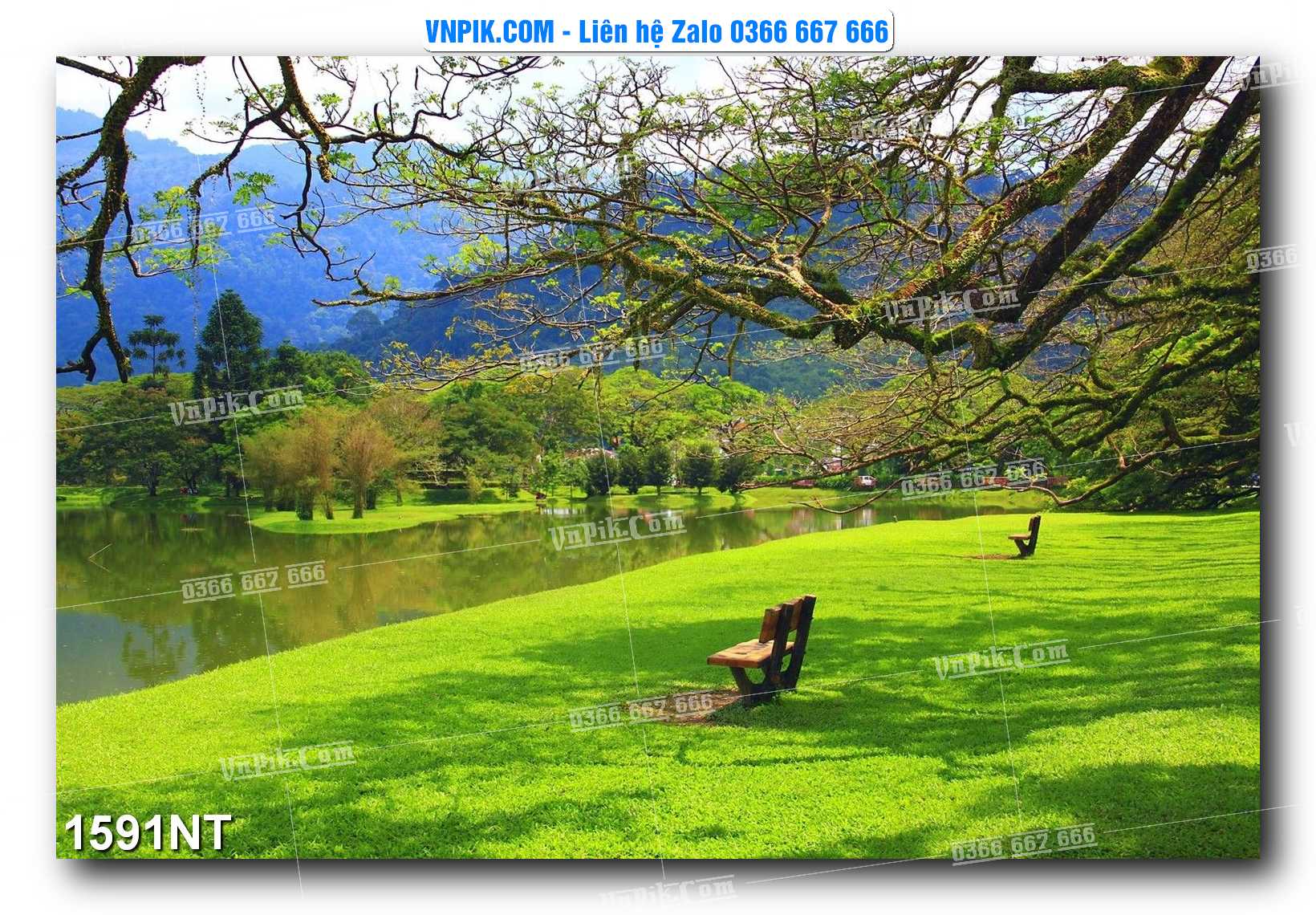 Tranh Trang Trí Phong Cảnh Nghệ Thuật Mã Số 1591NT