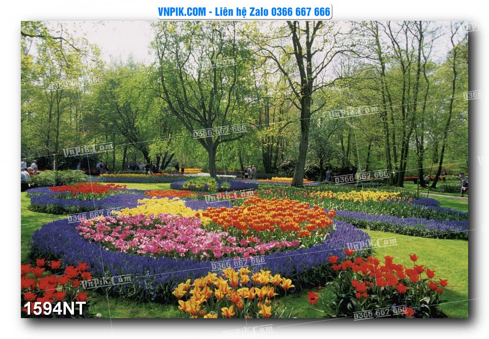 Tranh Trang Trí Phong Cảnh Nghệ Thuật Mã Số 1594NT