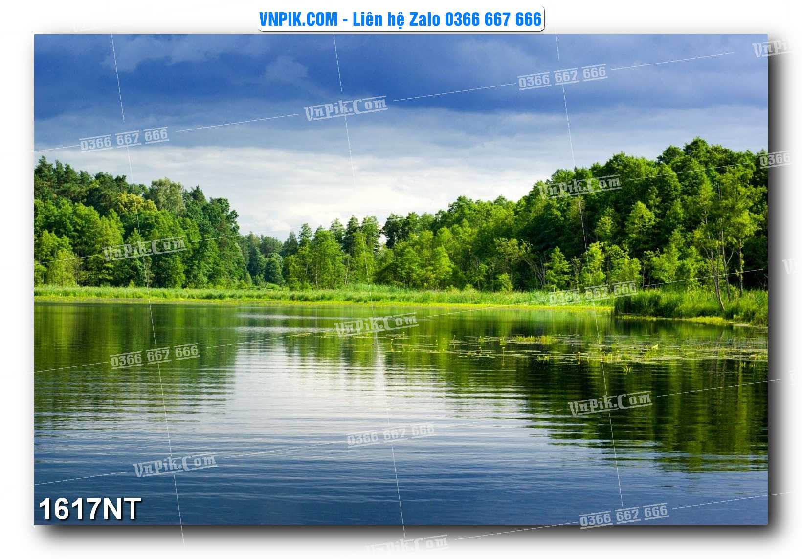 Tranh Trang Trí Phong Cảnh Nghệ Thuật Mã Số 1617NT