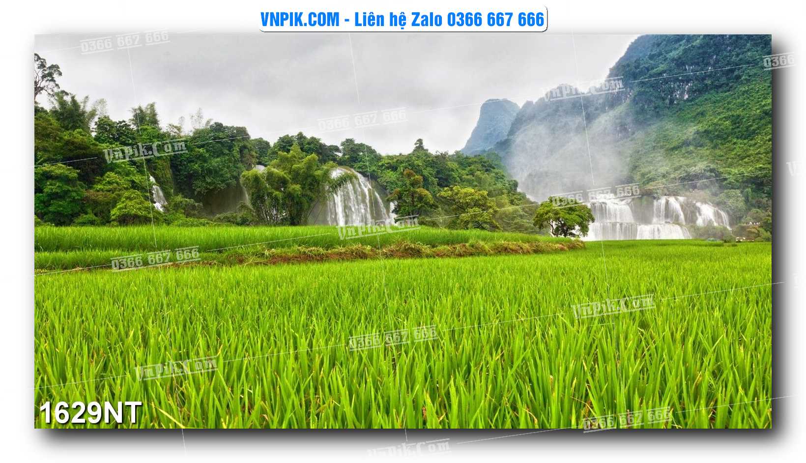 Tranh Trang Trí Phong Cảnh Nghệ Thuật Mã Số 1629NT