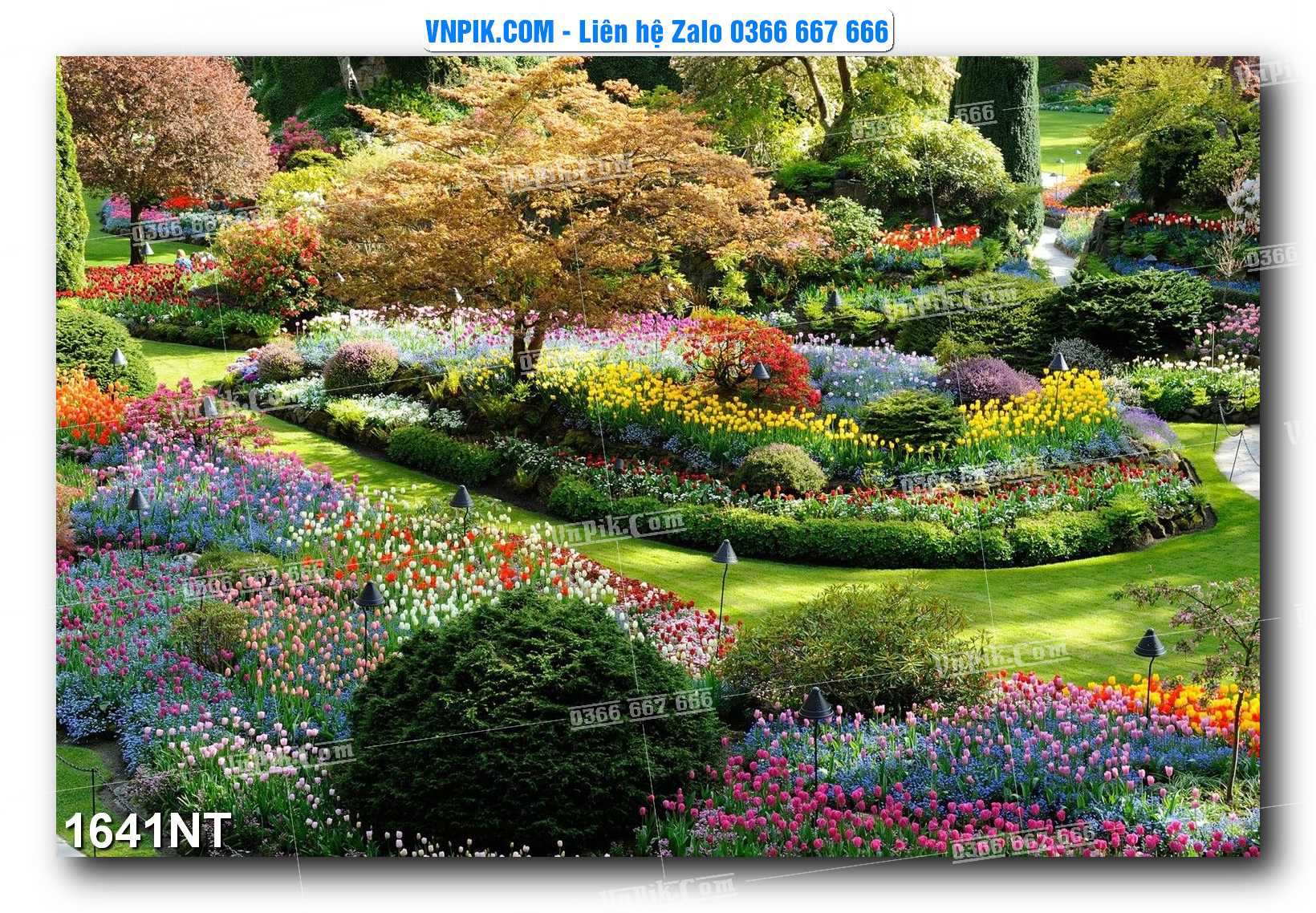 Tranh Trang Trí Phong Cảnh Nghệ Thuật Mã Số 1641NT