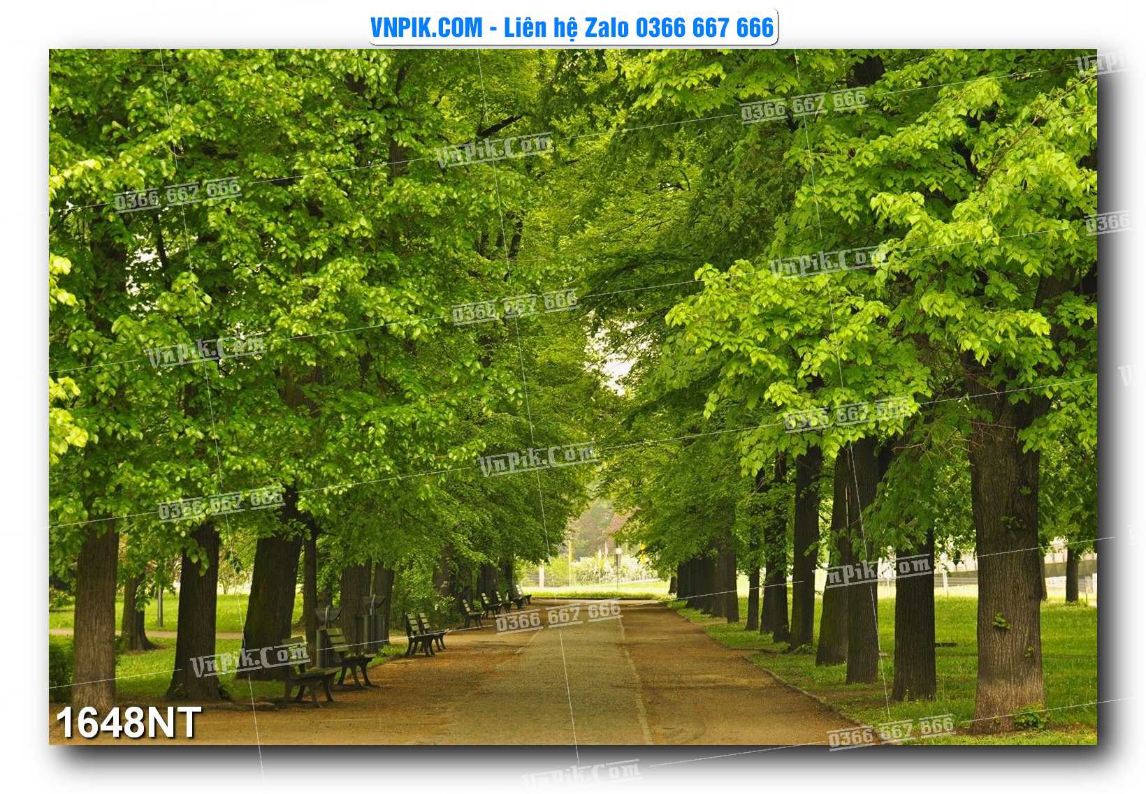 Tranh Trang Trí Phong Cảnh Nghệ Thuật Mã Số 1648NT