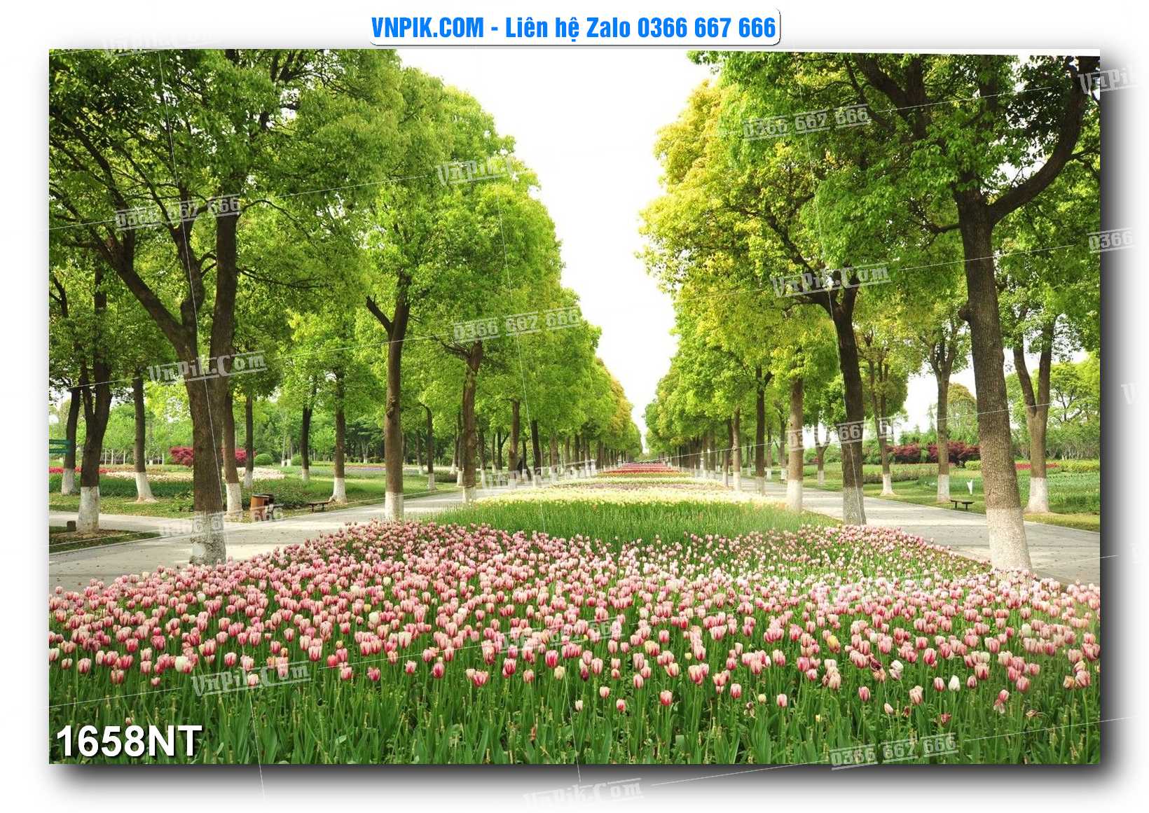 Tranh Trang Trí Phong Cảnh Nghệ Thuật Mã Số 1658NT
